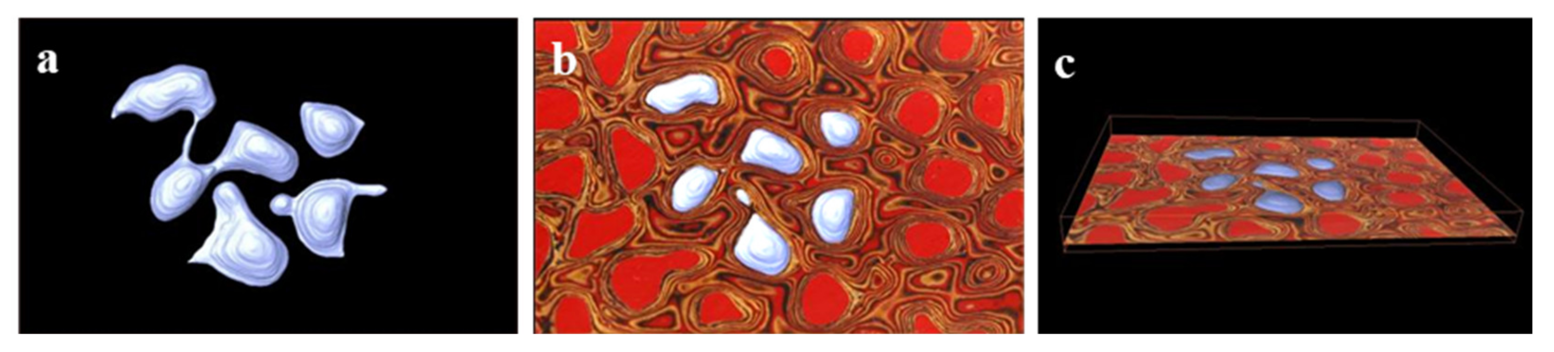 Coatings 12 01132 g009 550