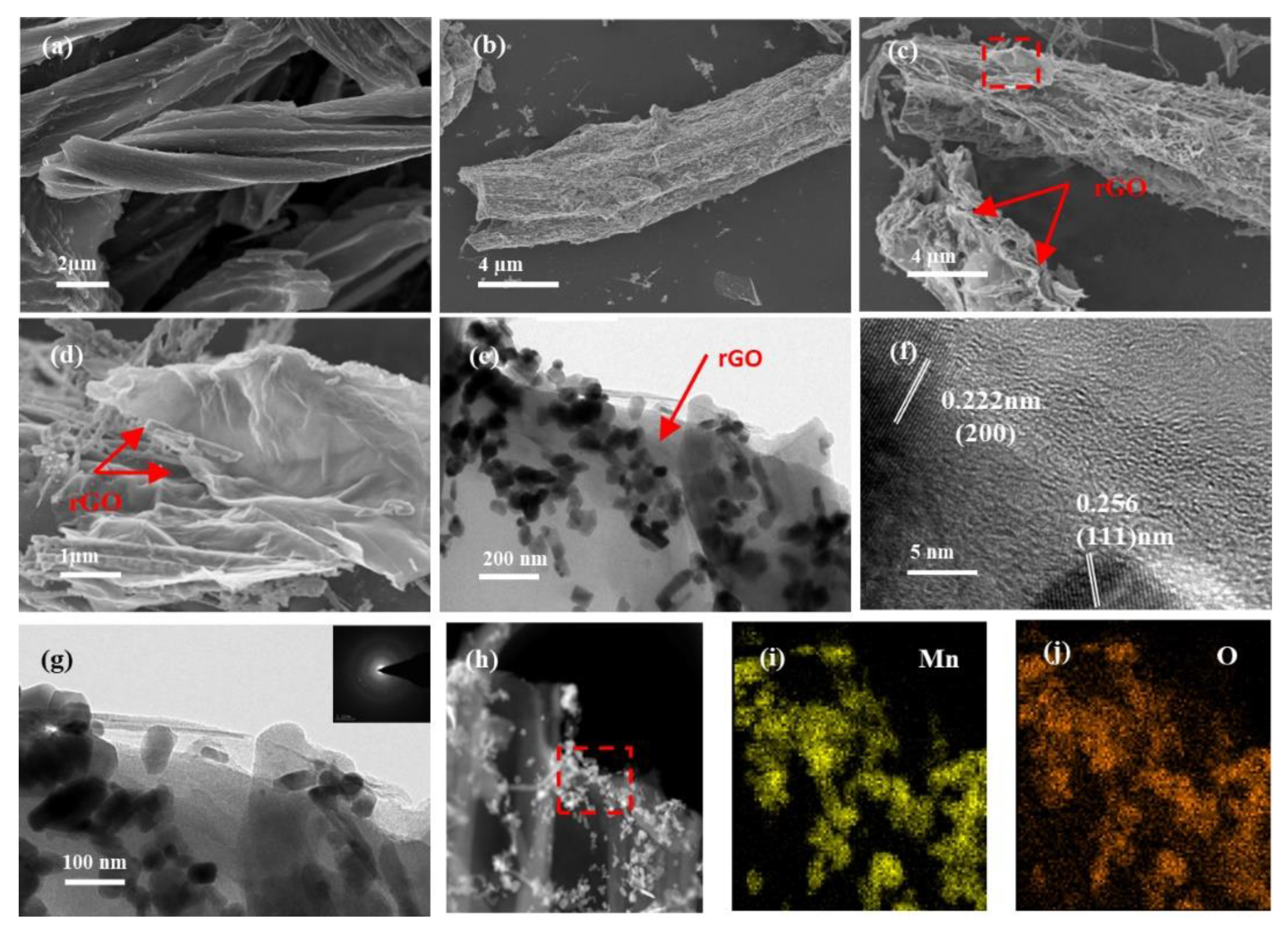 Coatings 12 01139 g002
