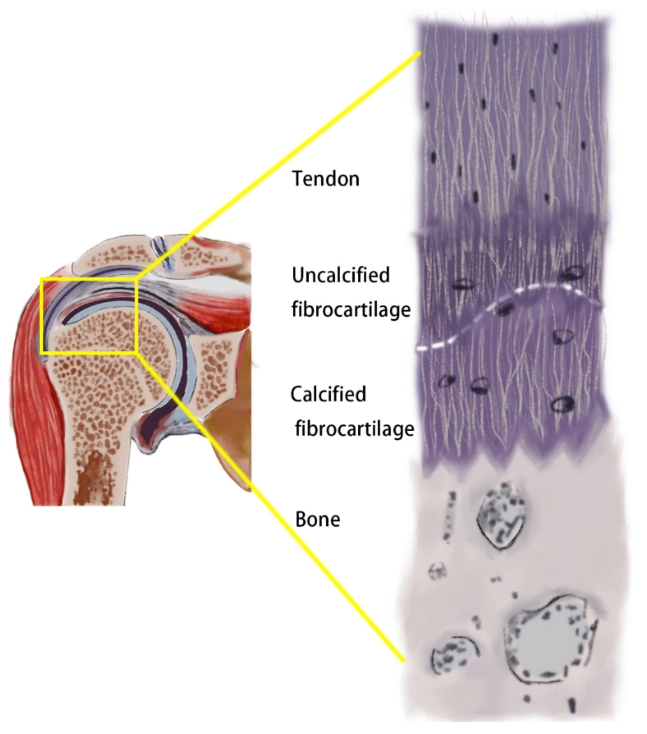 Coatings 12 01143 g001 Coatings 12 01143 g001