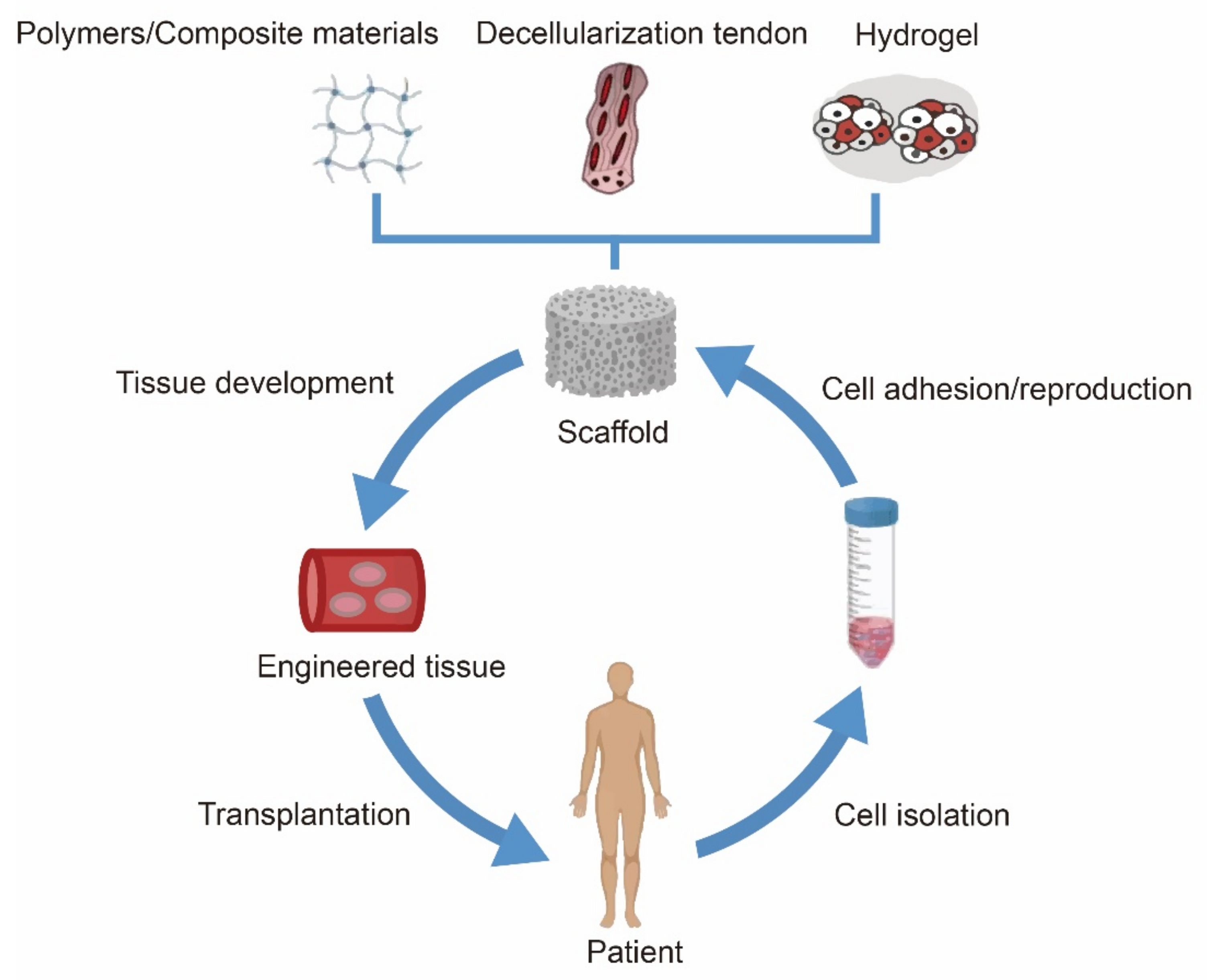 Coatings 12 01143 g004 Coatings 12 01143 g004
