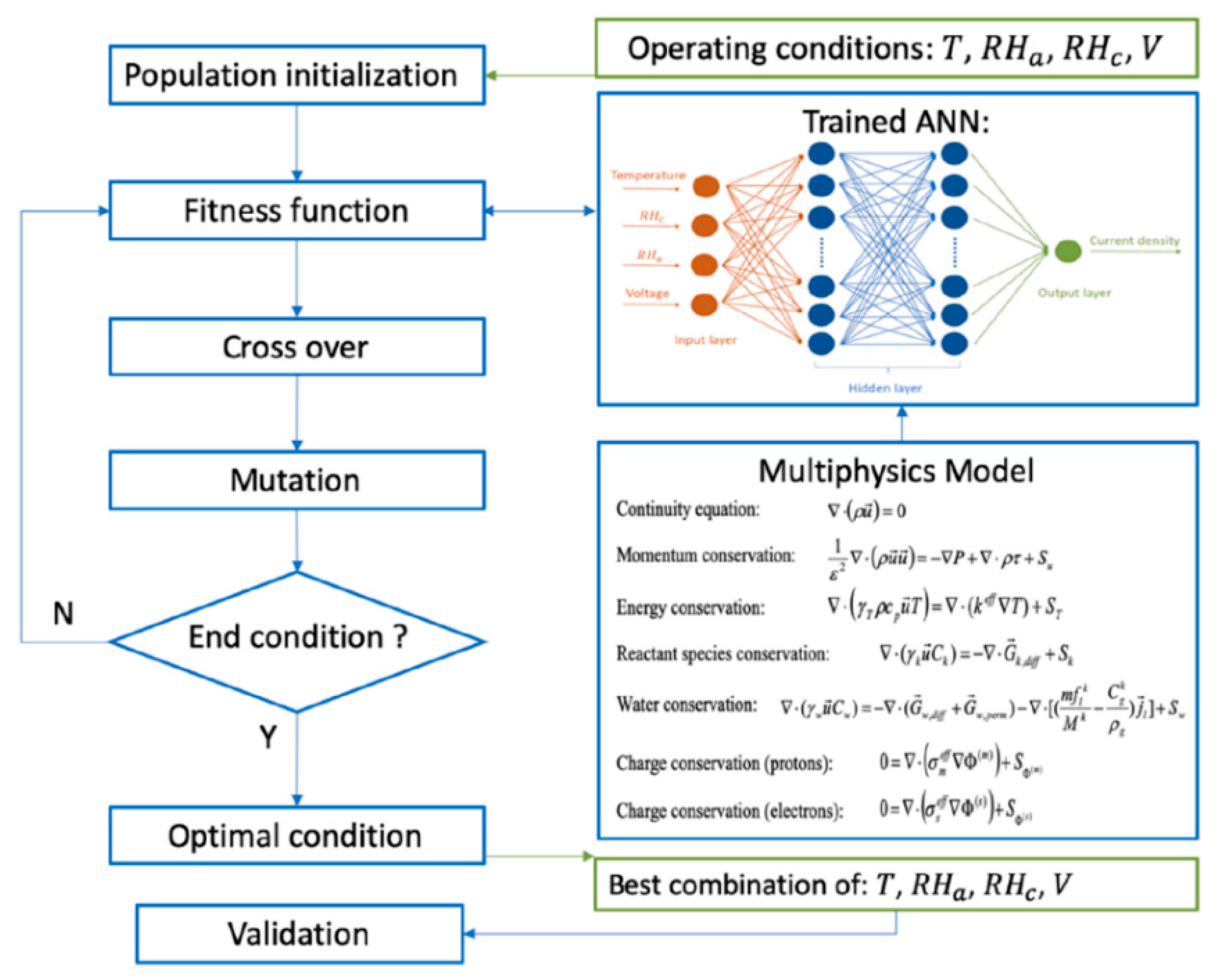 Coatings 12 01145 g014 550