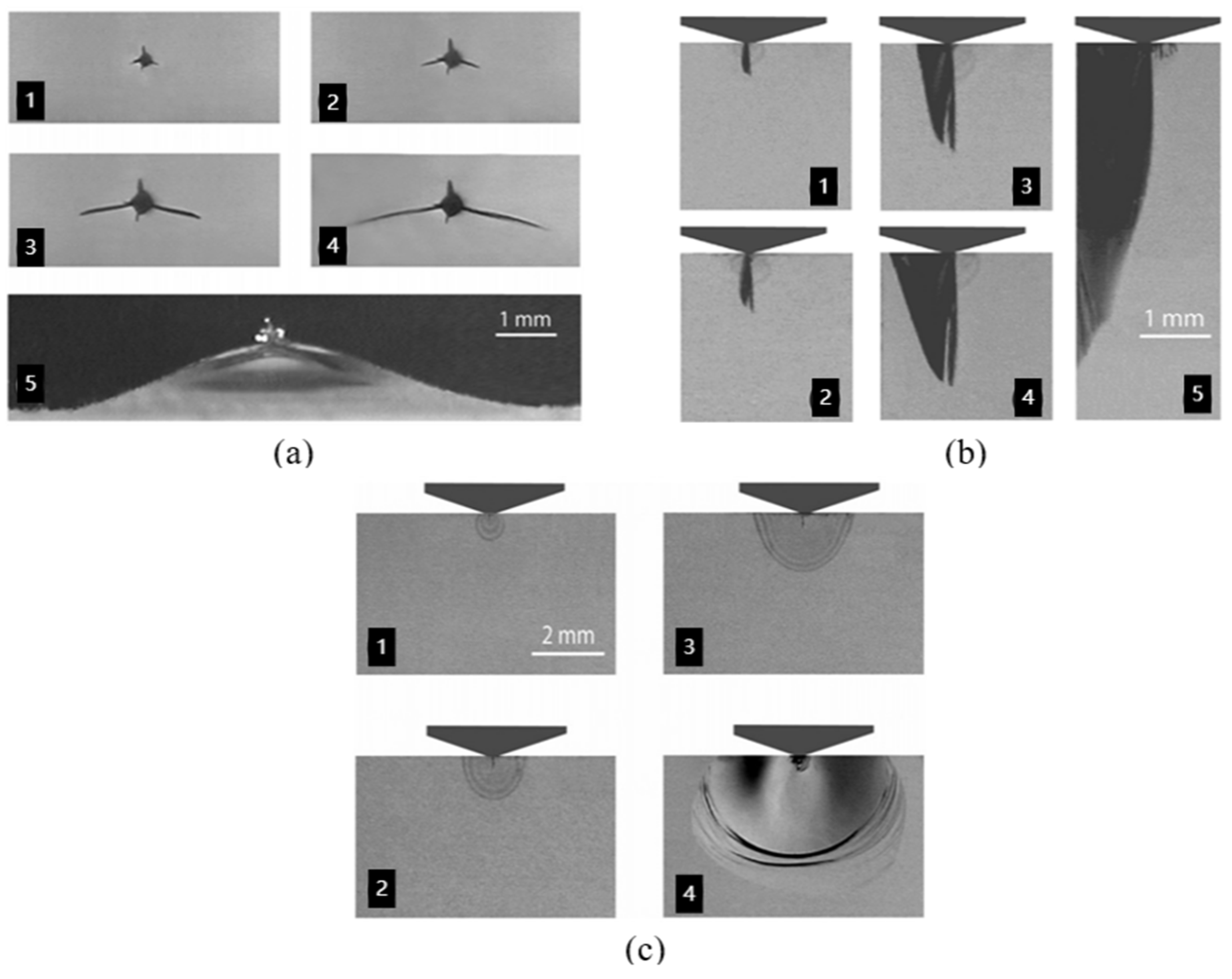 Coatings 12 01146 g003