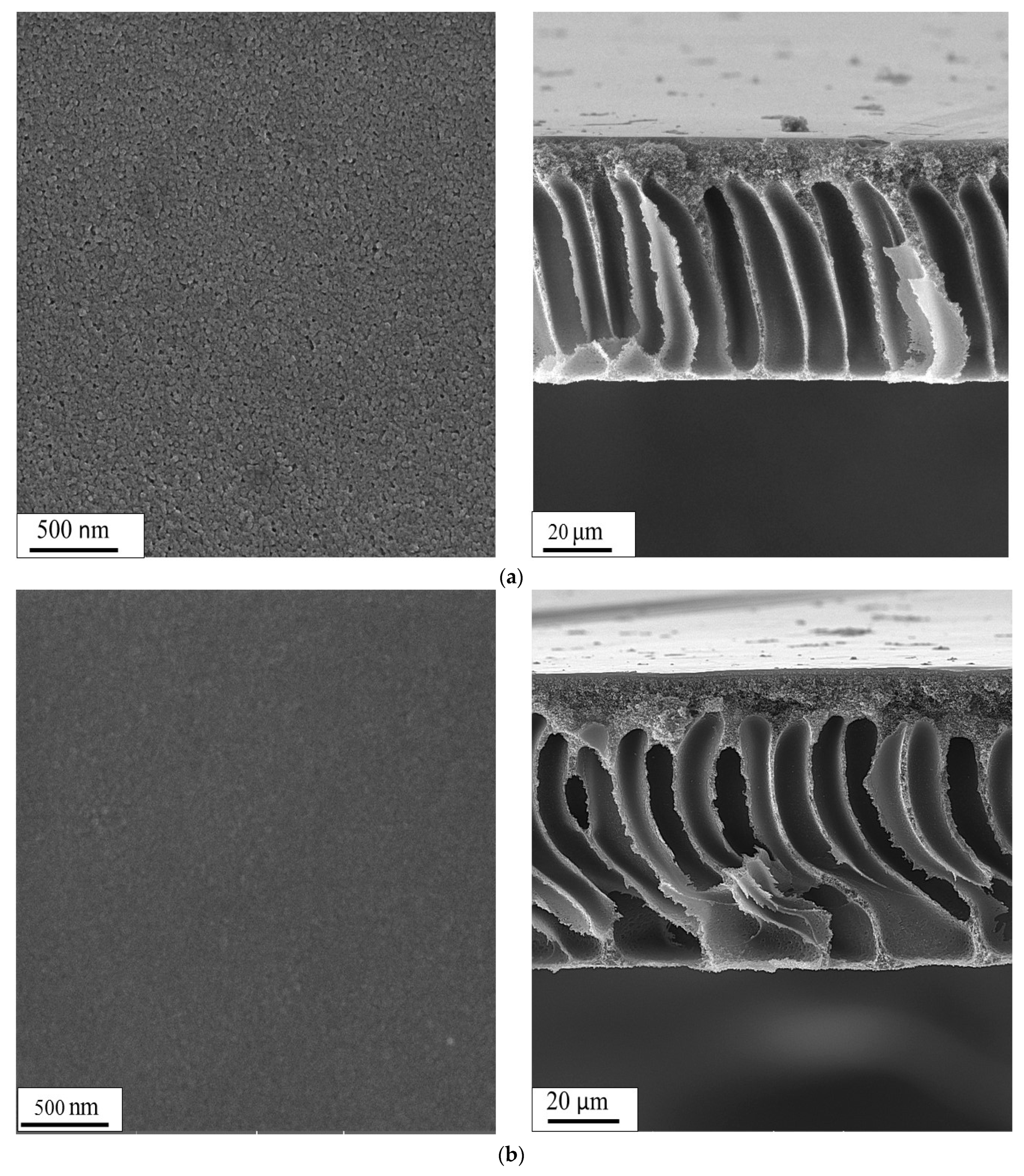 Coatings 12 01148 g004a
