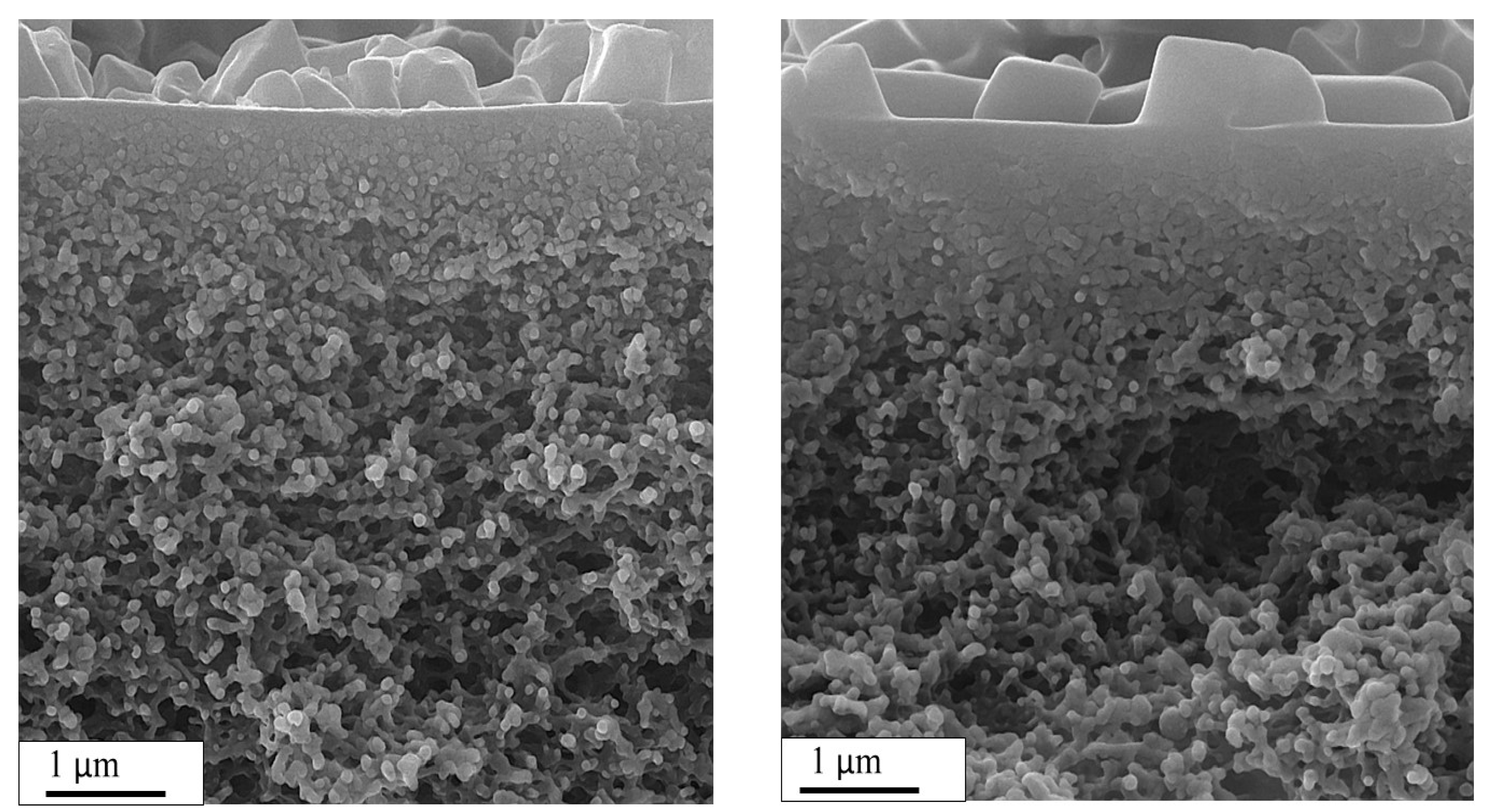 Coatings 12 01148 g005