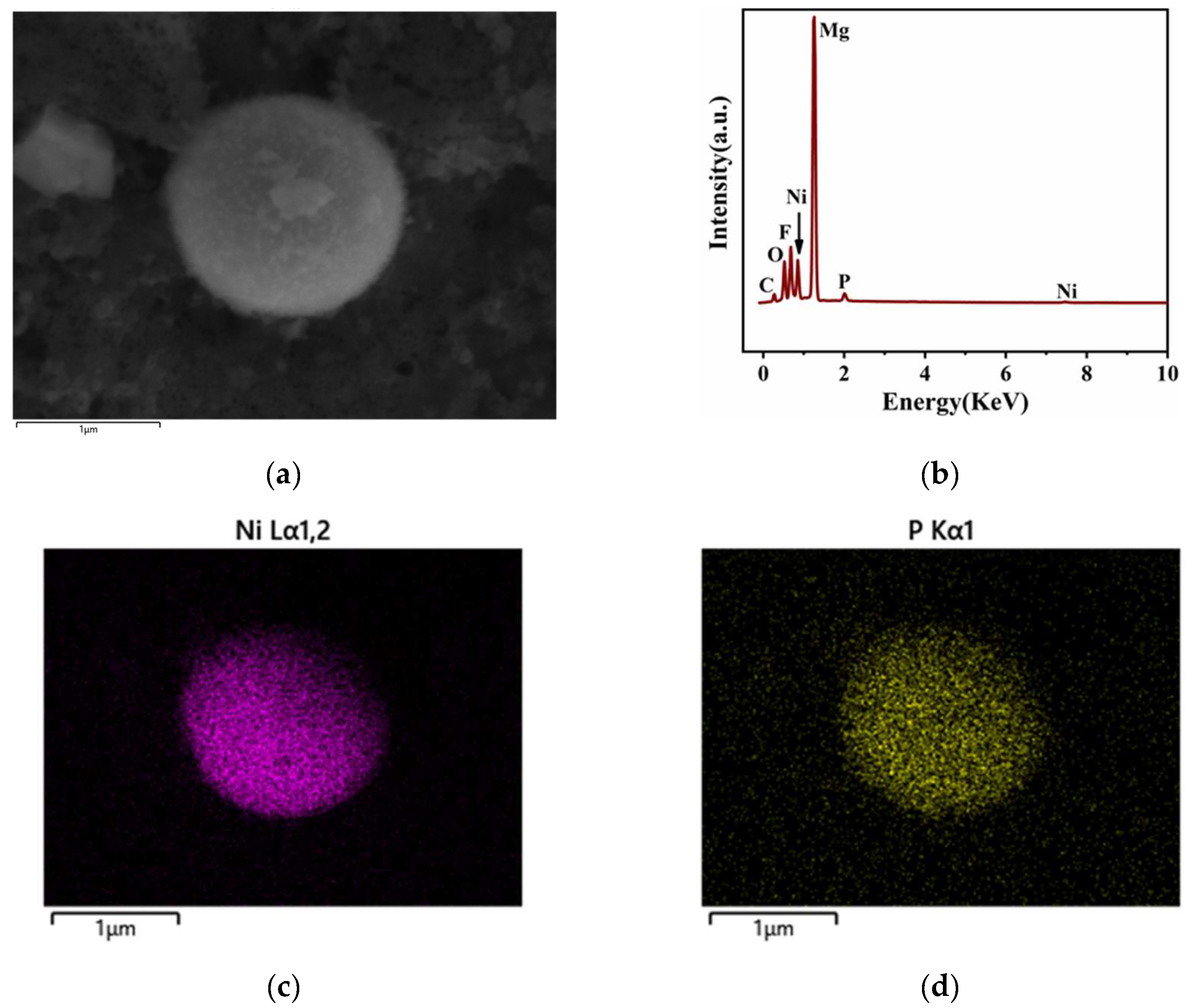 Coatings 12 01157 g003 550