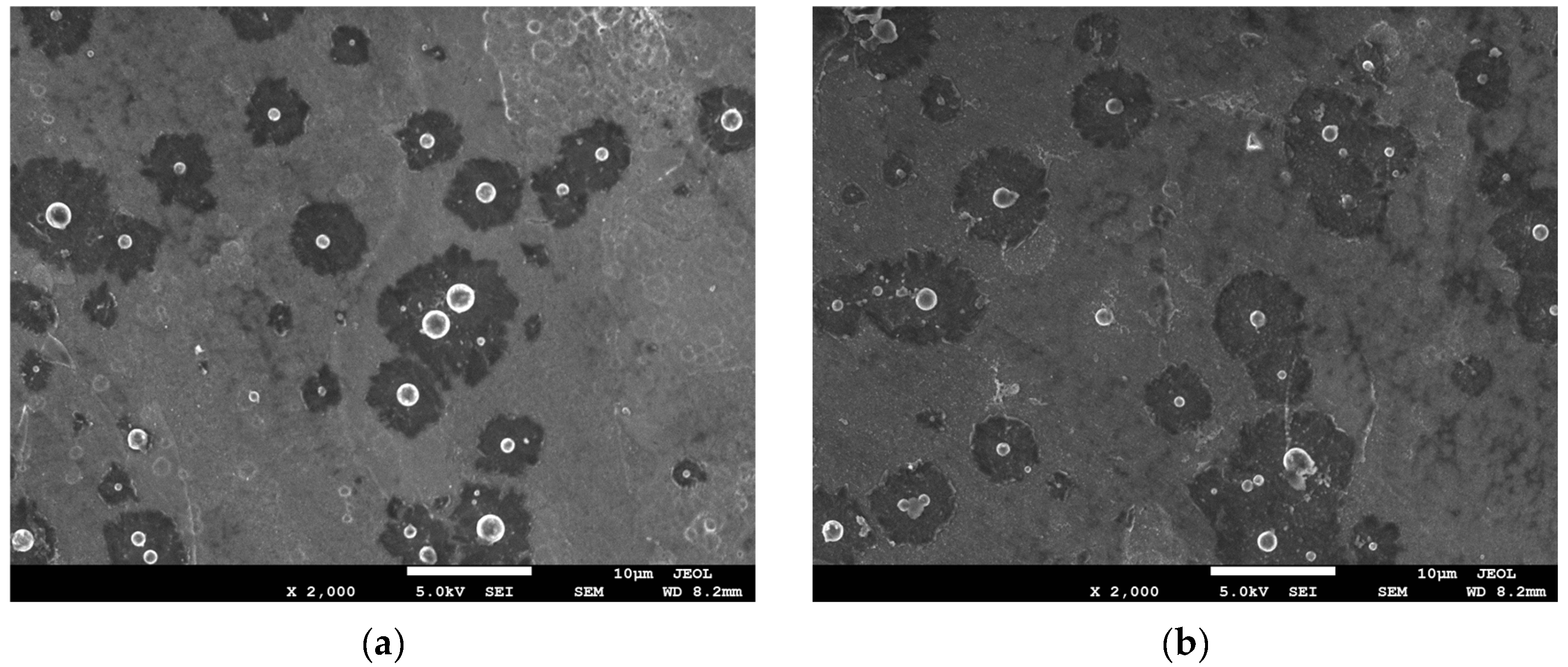 Coatings 12 01157 g004a 550