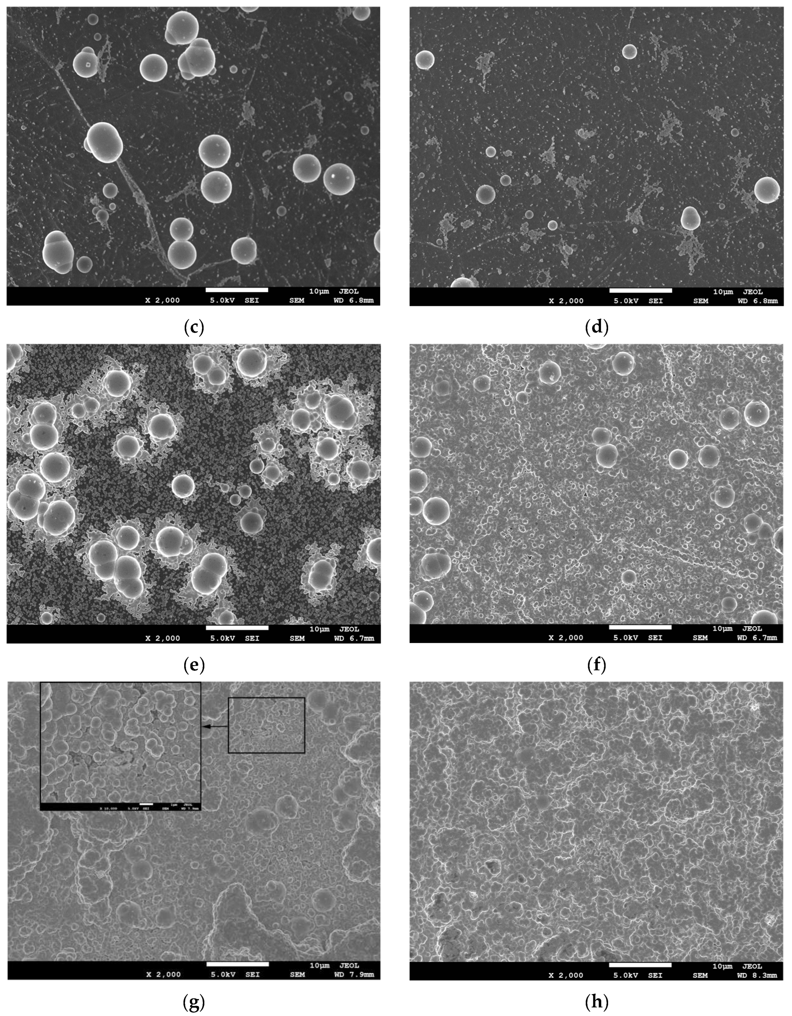Coatings 12 01157 g004b 550