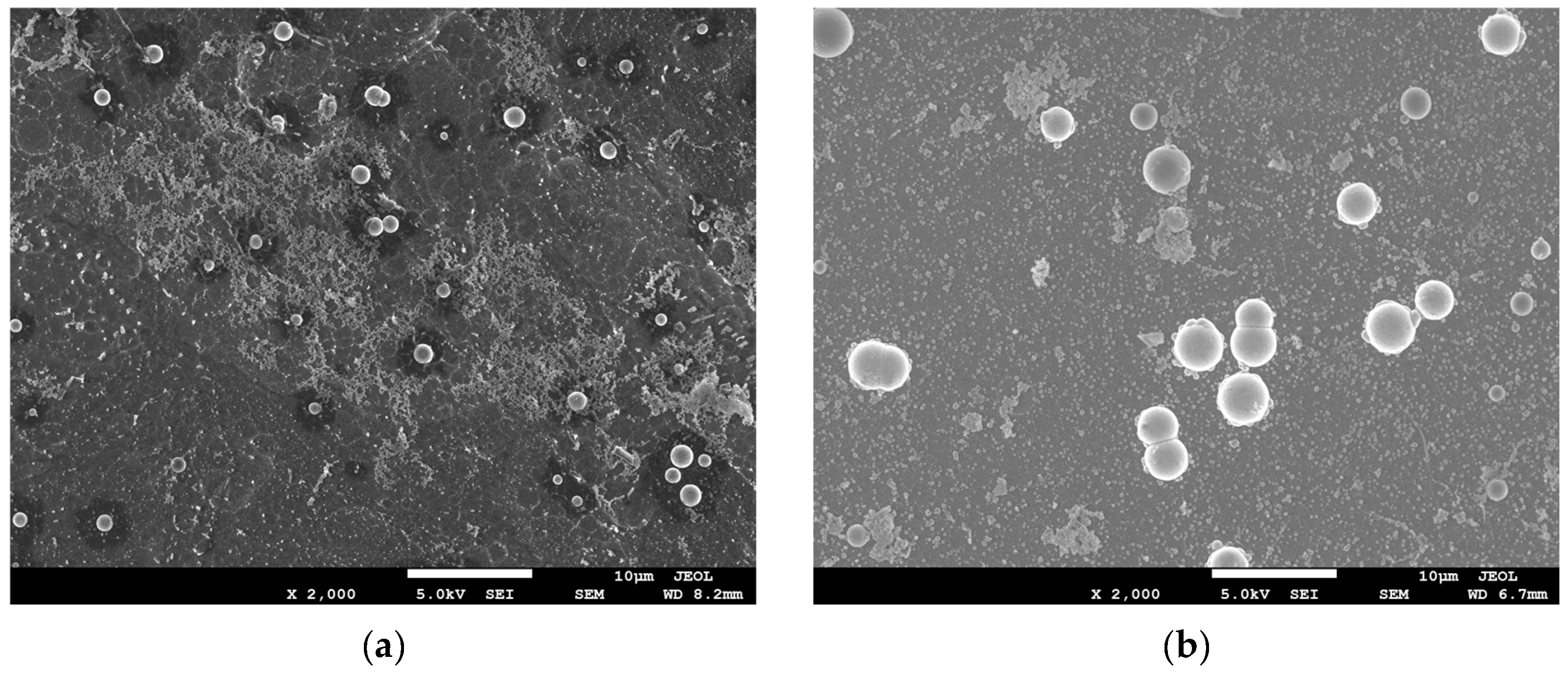 Coatings 12 01157 g006a 550