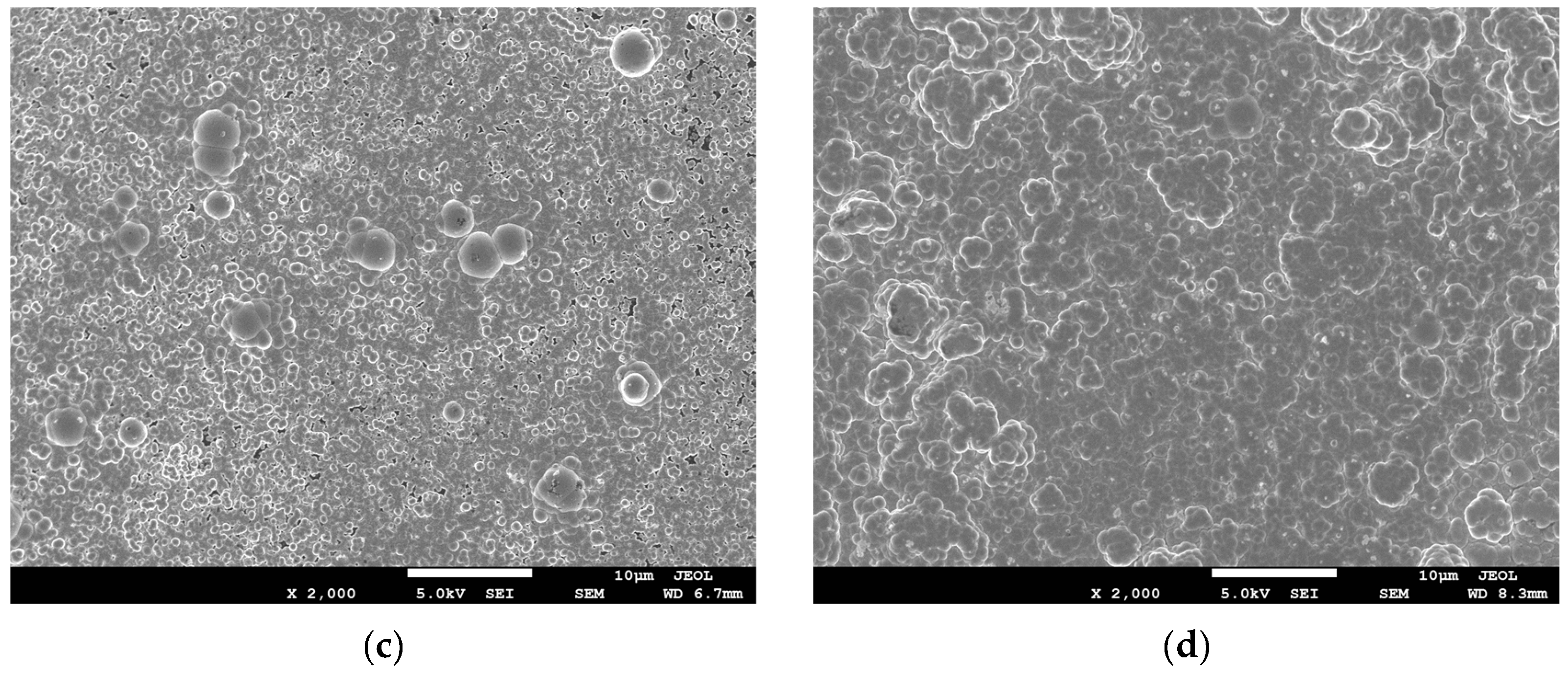 Coatings 12 01157 g006b 550