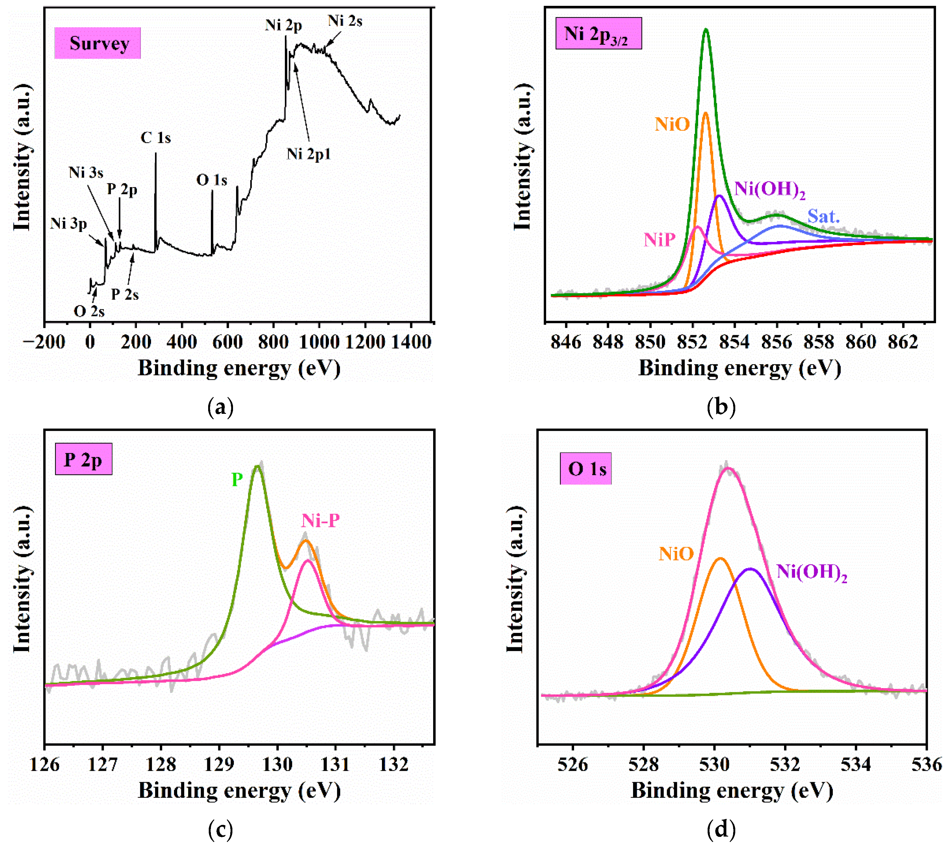 Coatings 12 01157 g010 550