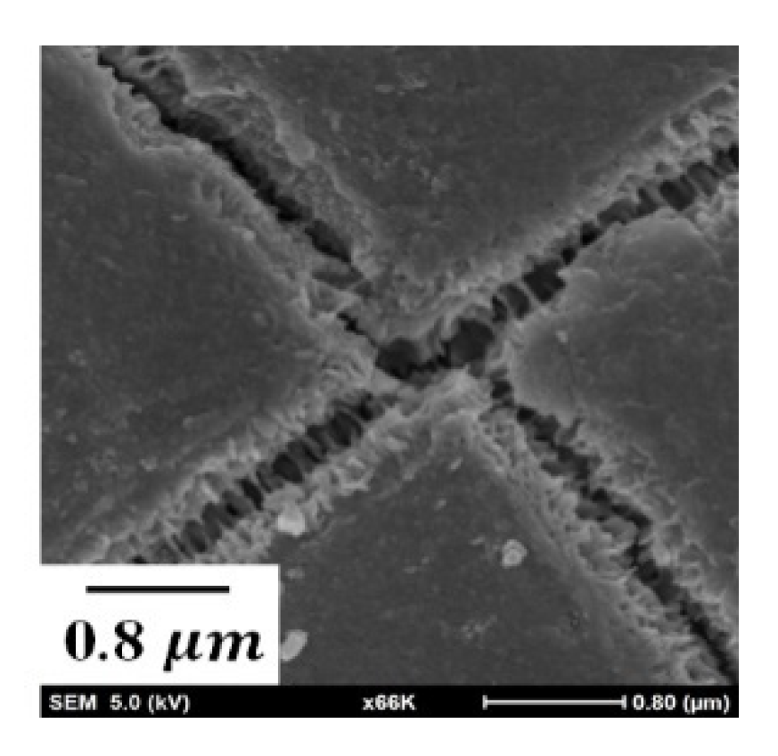 Coatings 12 01160 g008 550