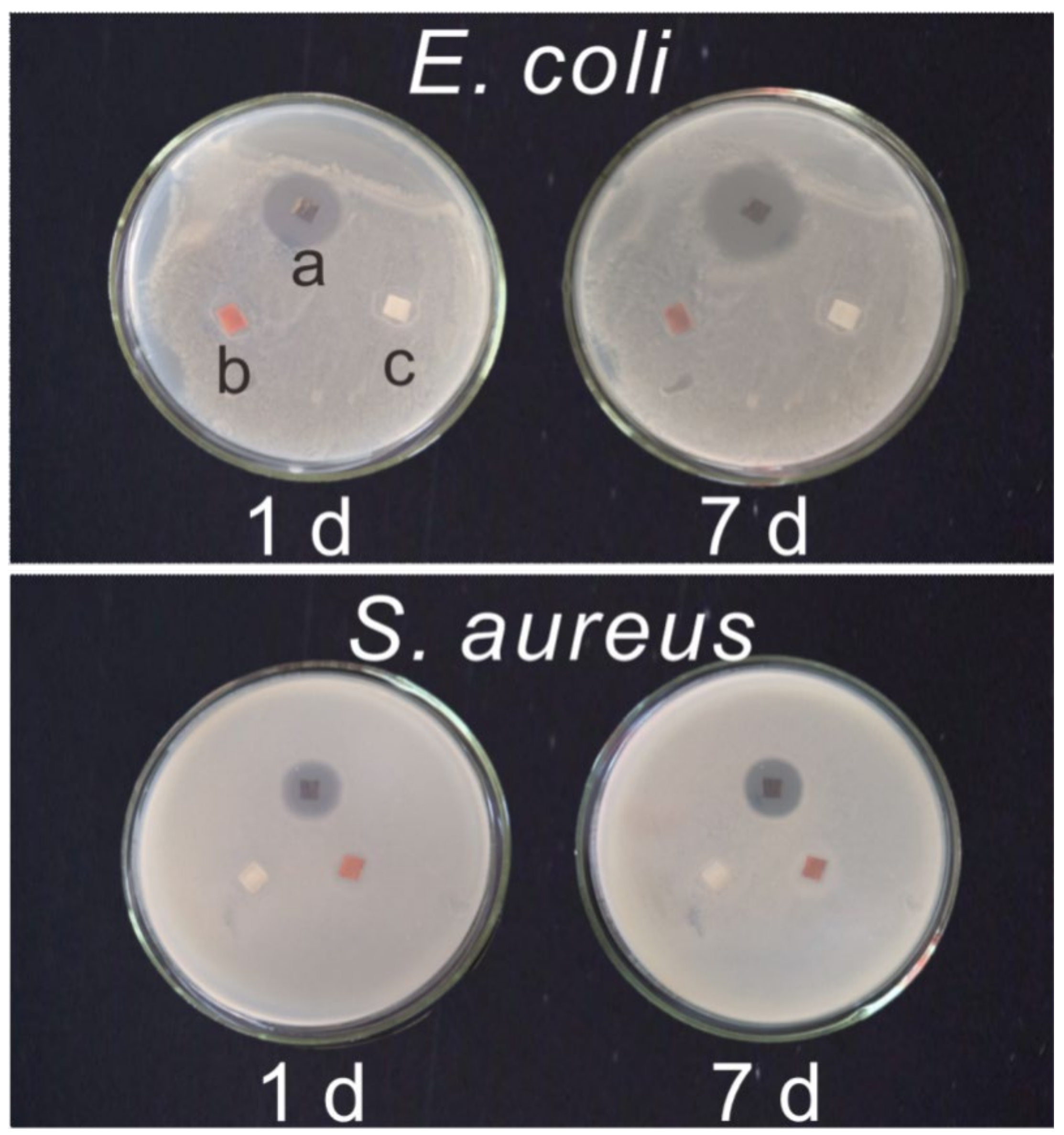 Coatings 12 01161 g002 550