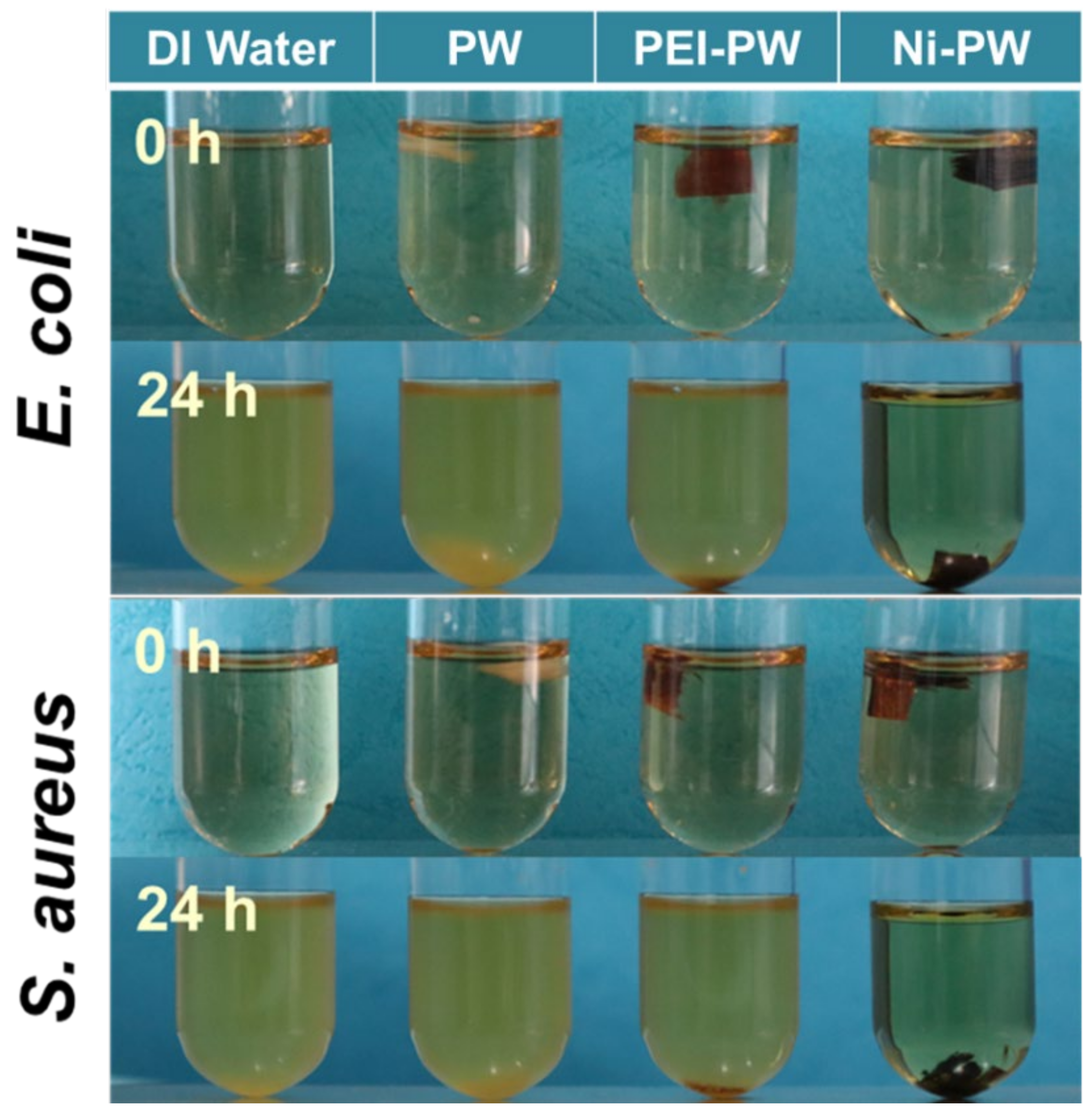 Coatings 12 01161 g004 550