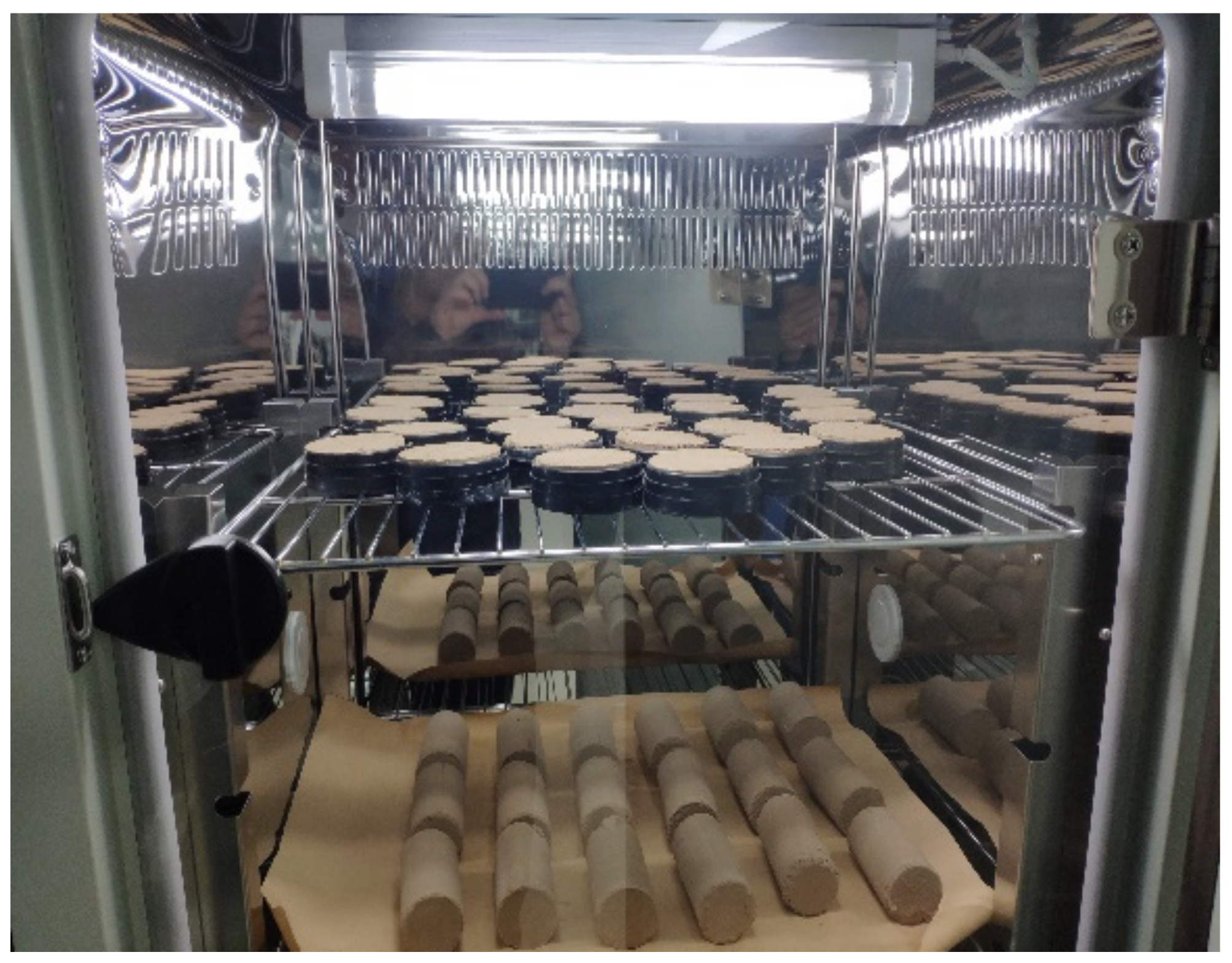 Coatings 12 01162 g005 550