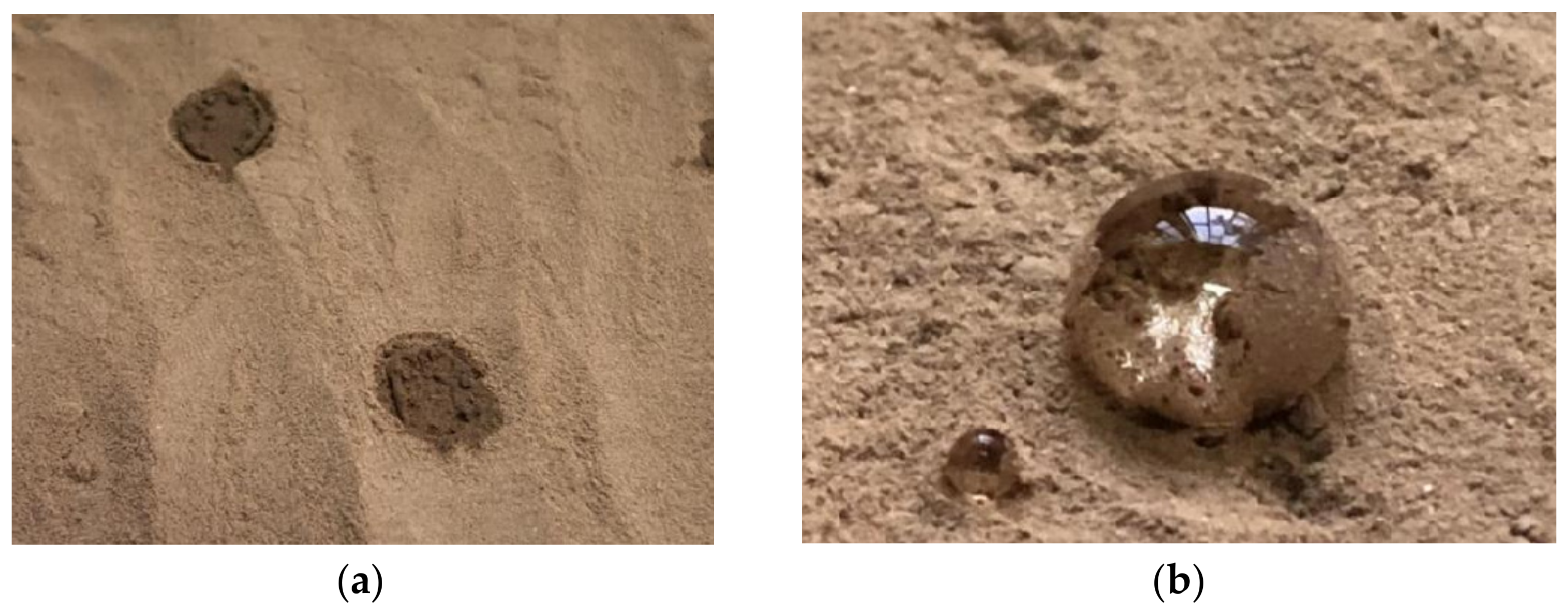 Coatings 12 01162 g010 550