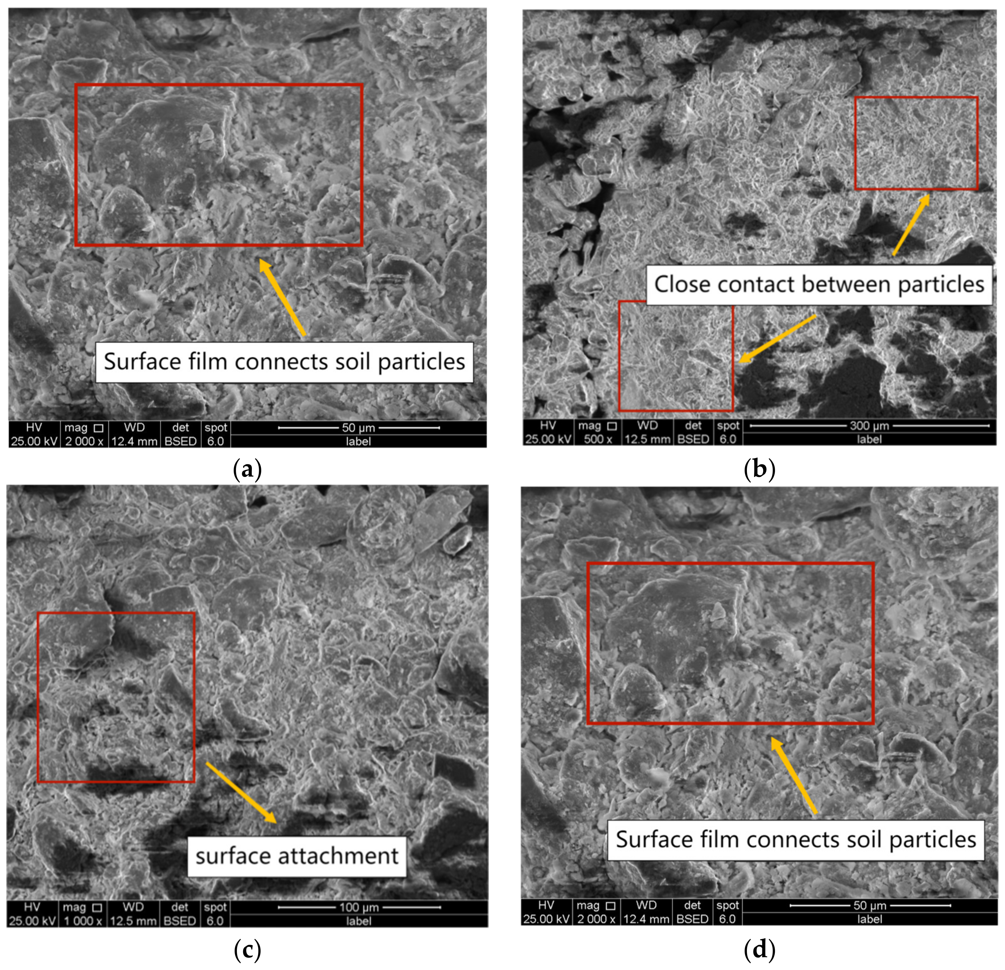 Coatings 12 01162 g015 550