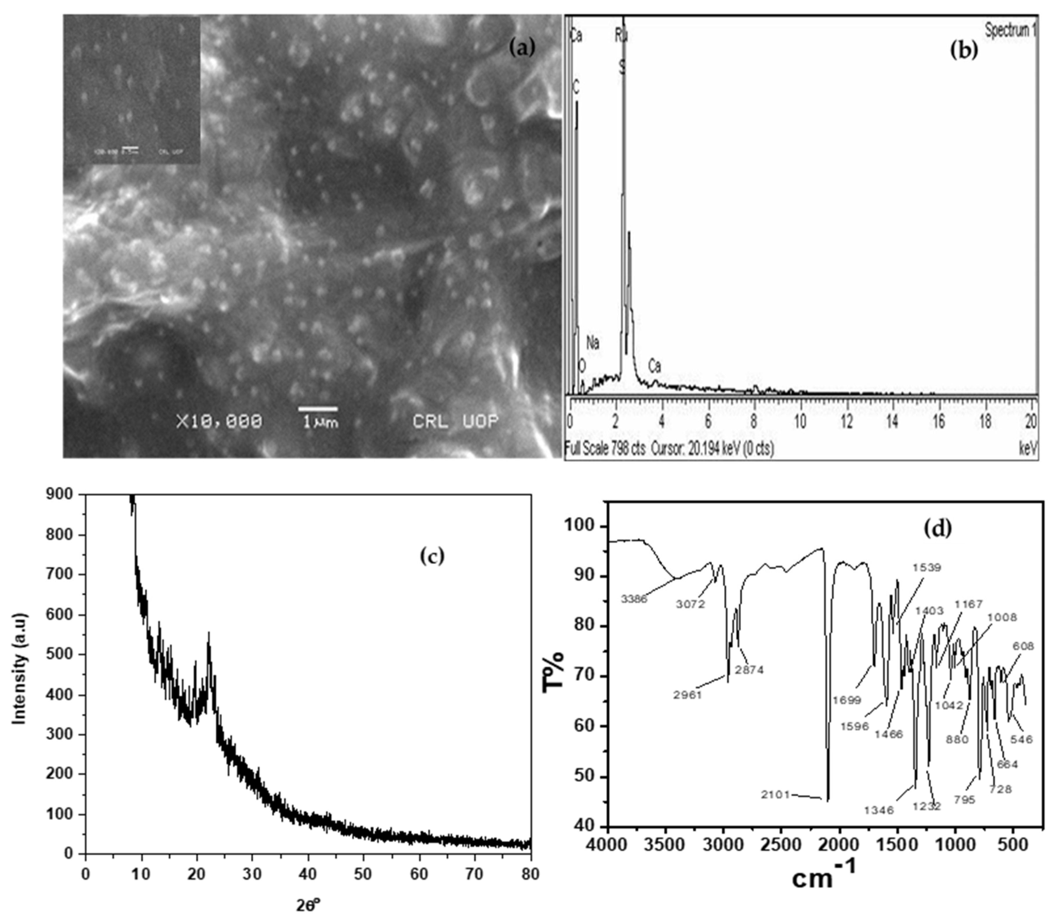 Coatings 12 01163 g002 550