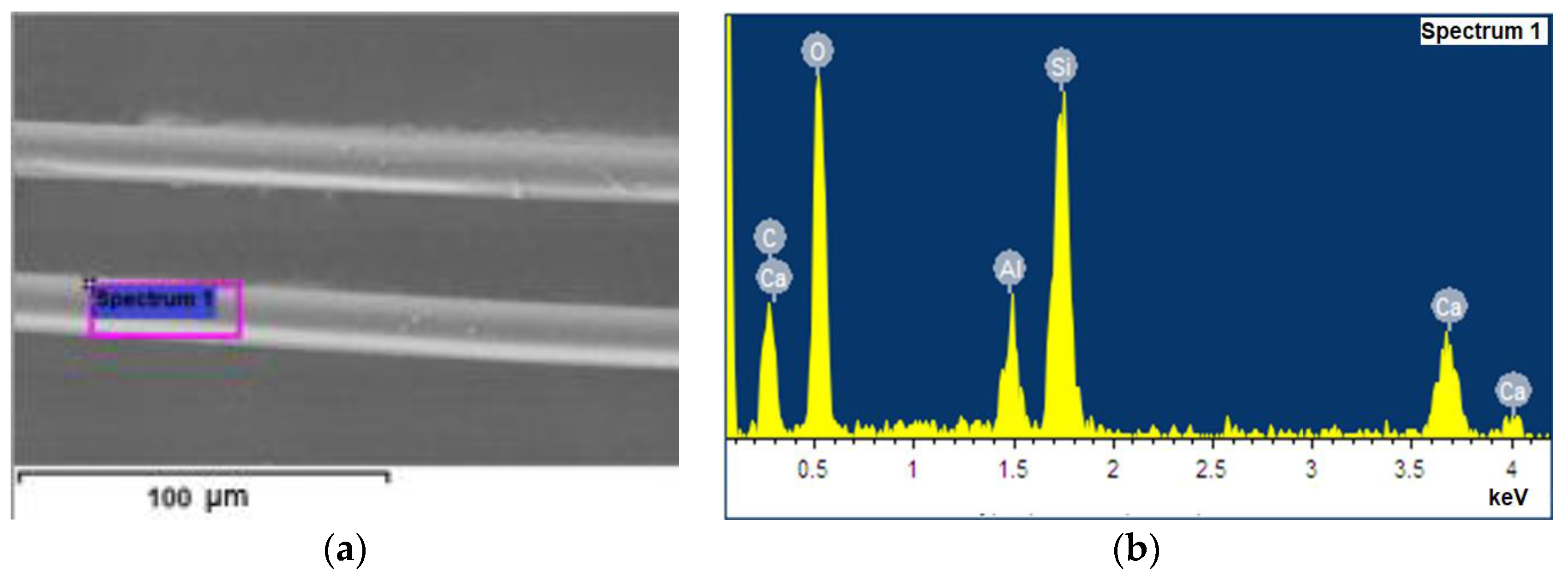 Coatings 12 01173 g001