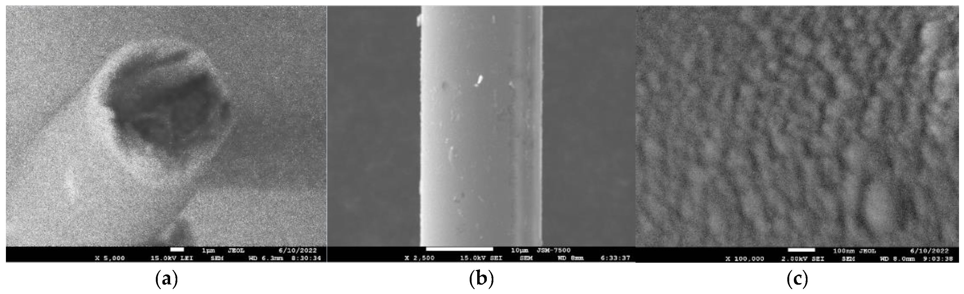 Coatings 12 01173 g003