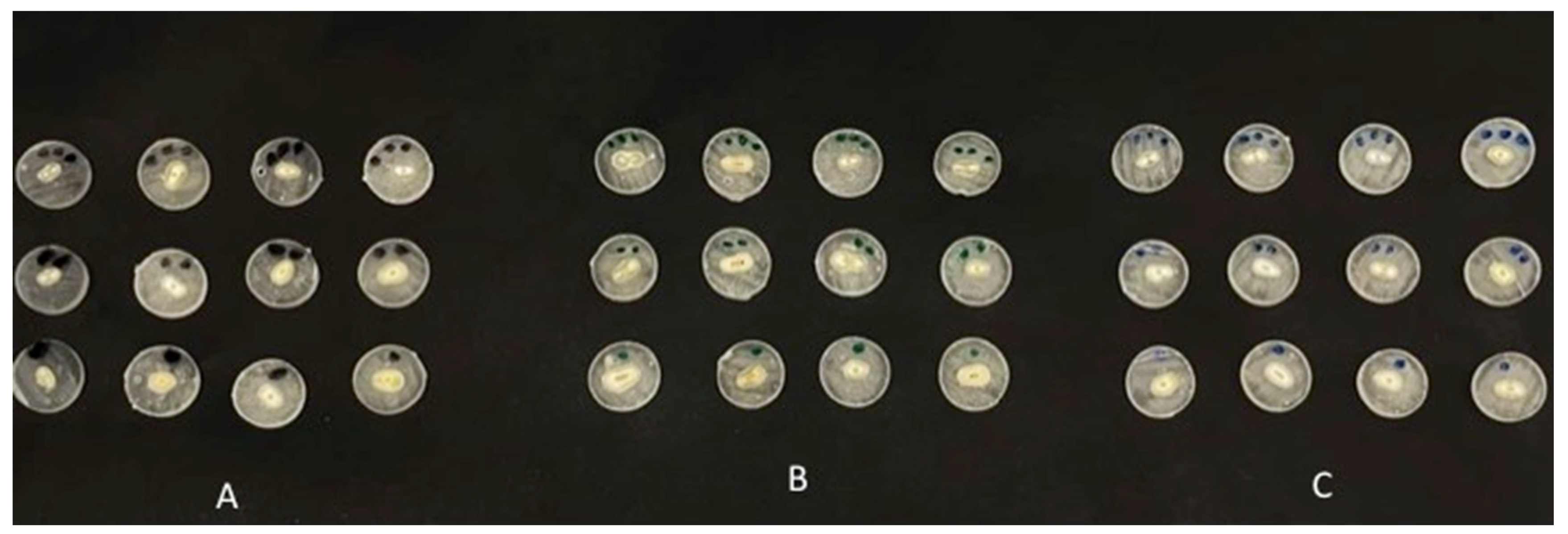 Coatings 12 01176 g002 550