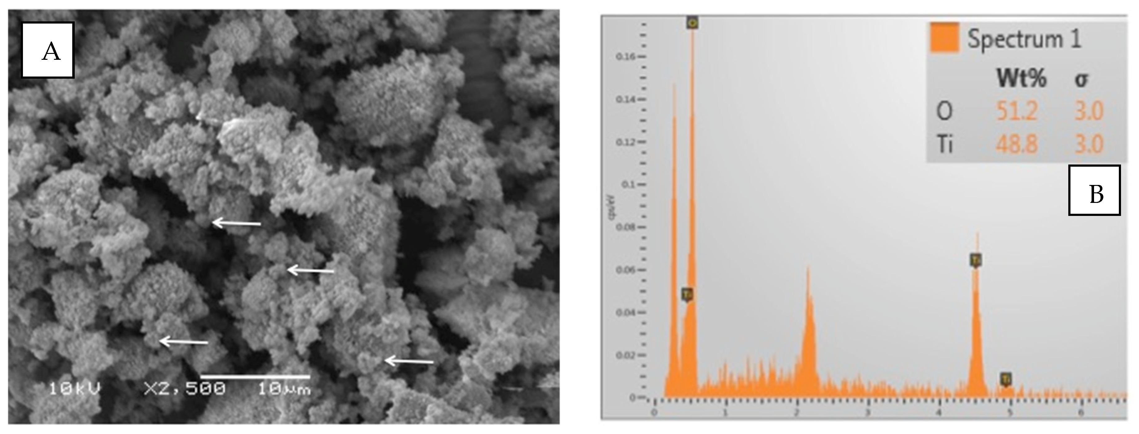 Coatings 12 01176 g003 550
