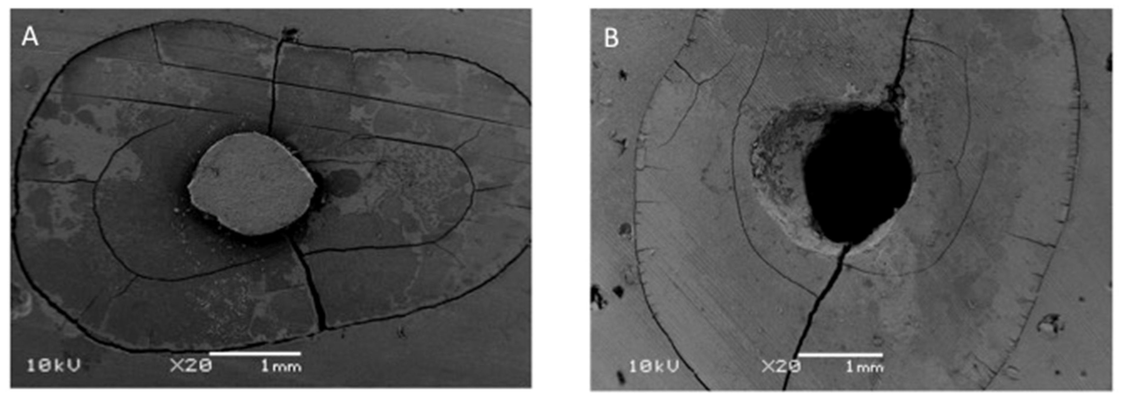 Coatings 12 01176 g007 550