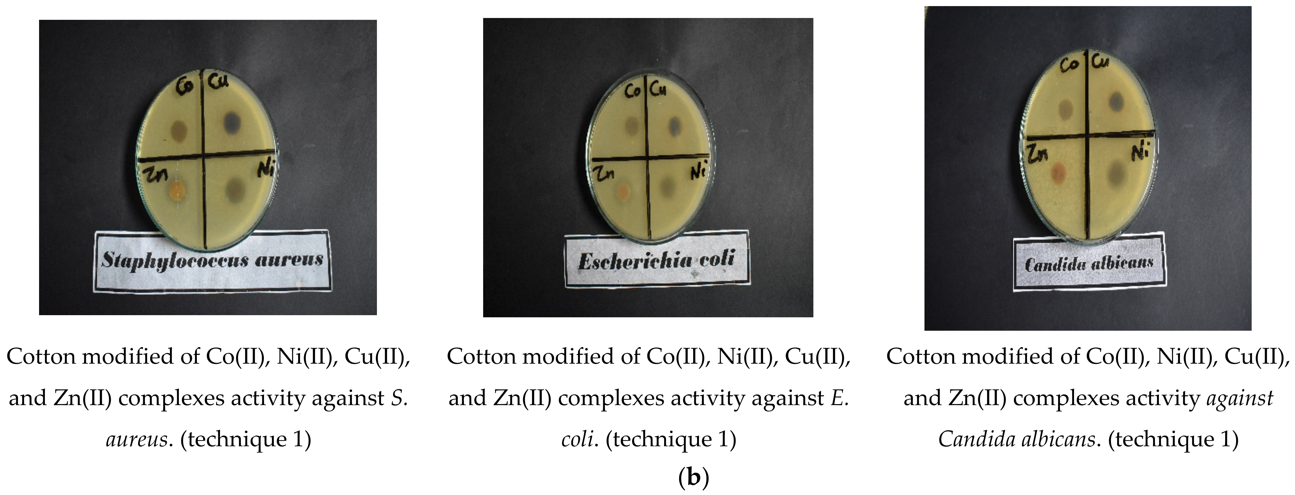 Coatings 12 01181 g007b Coatings 12 01181 g007b
