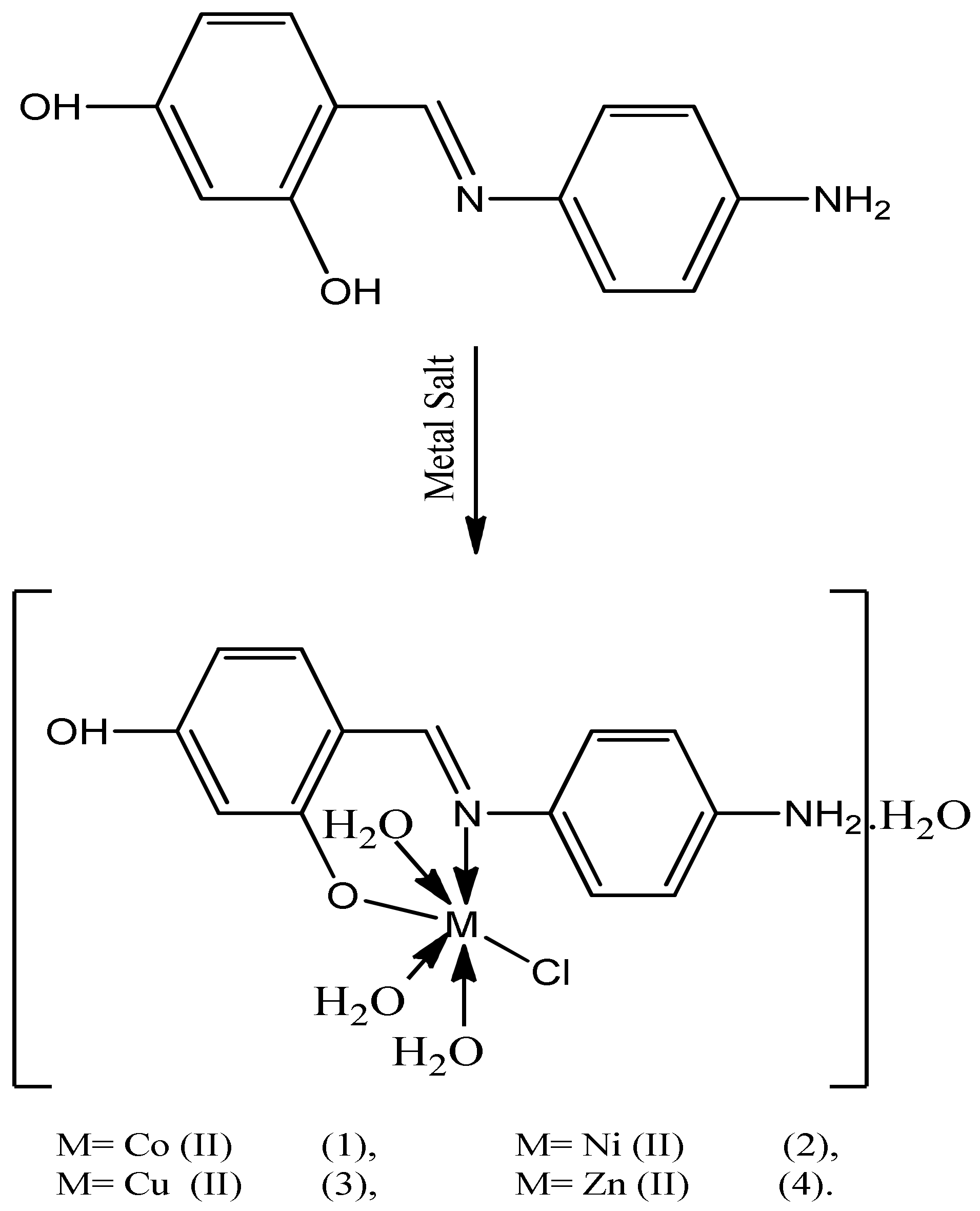 Coatings 12 01181 sch002 Coatings 12 01181 sch002
