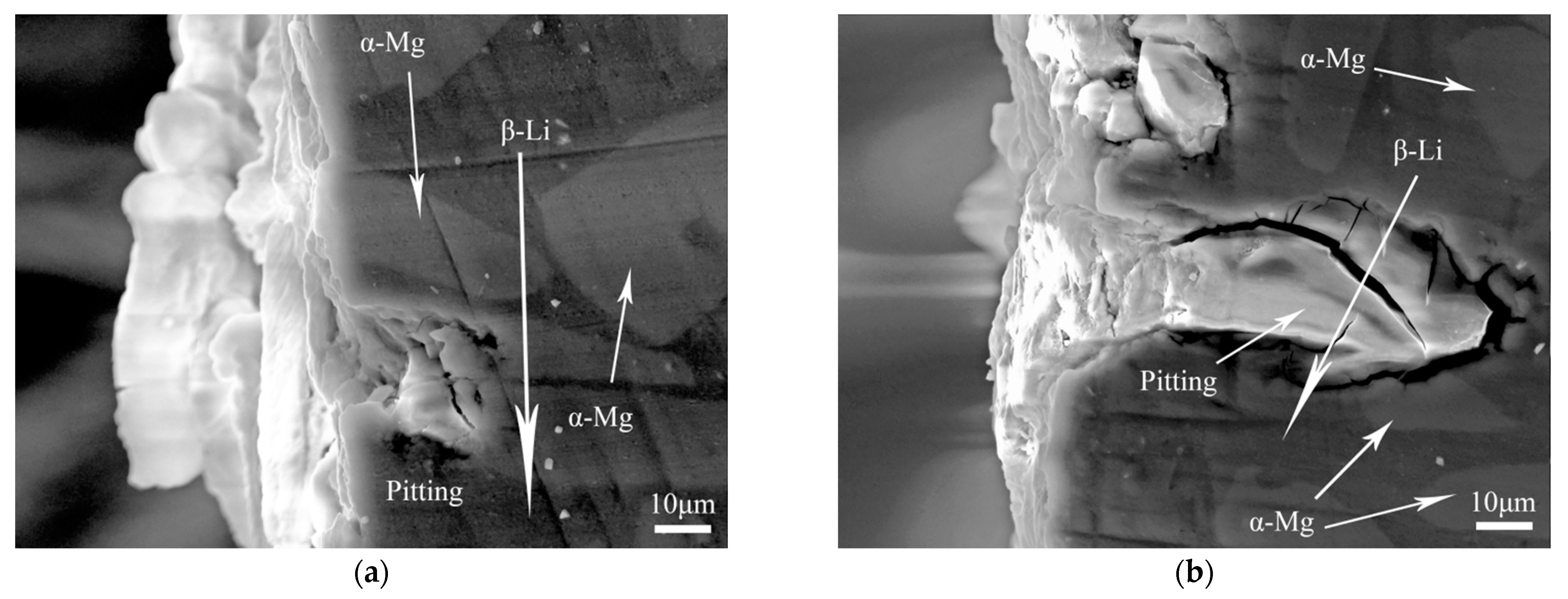 Coatings 12 01182 g007 Coatings 12 01182 g007
