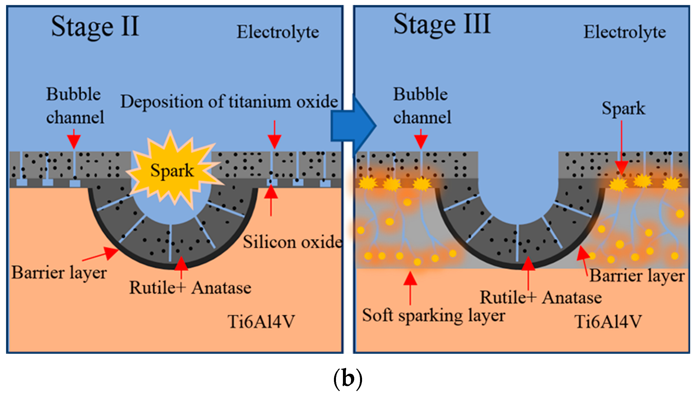 Coatings 12 01191 g009b