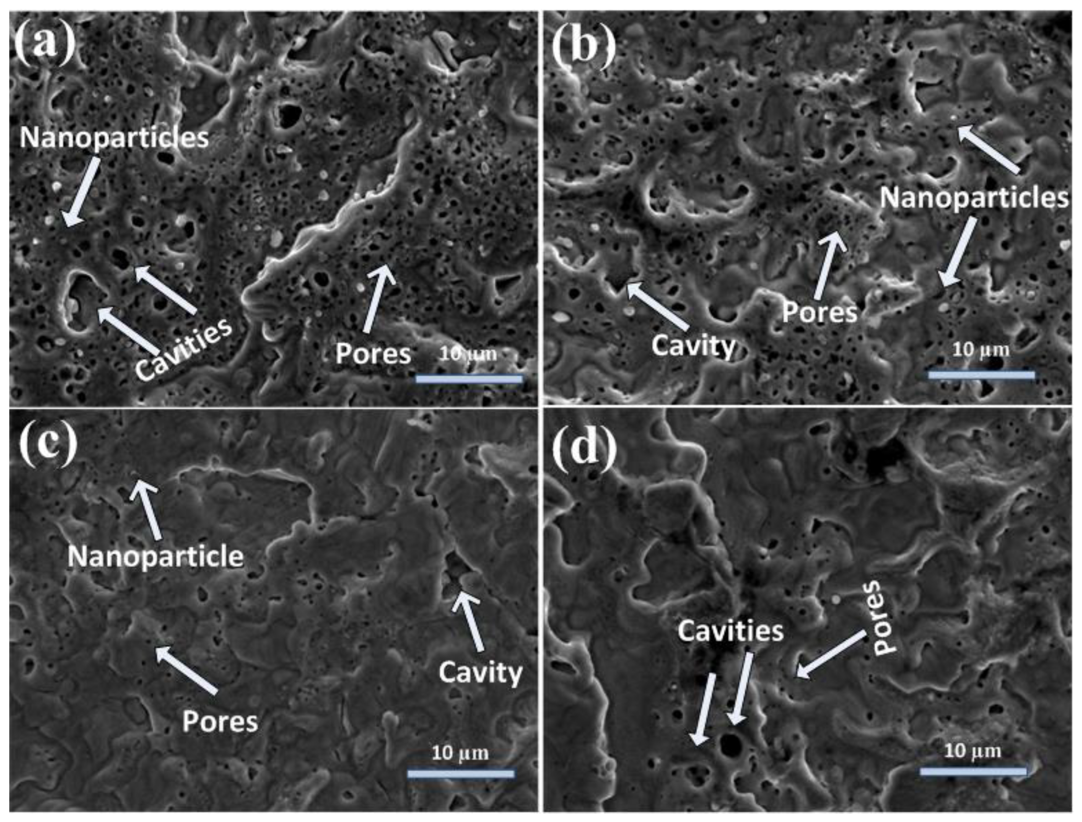 Coatings 12 01193 g002