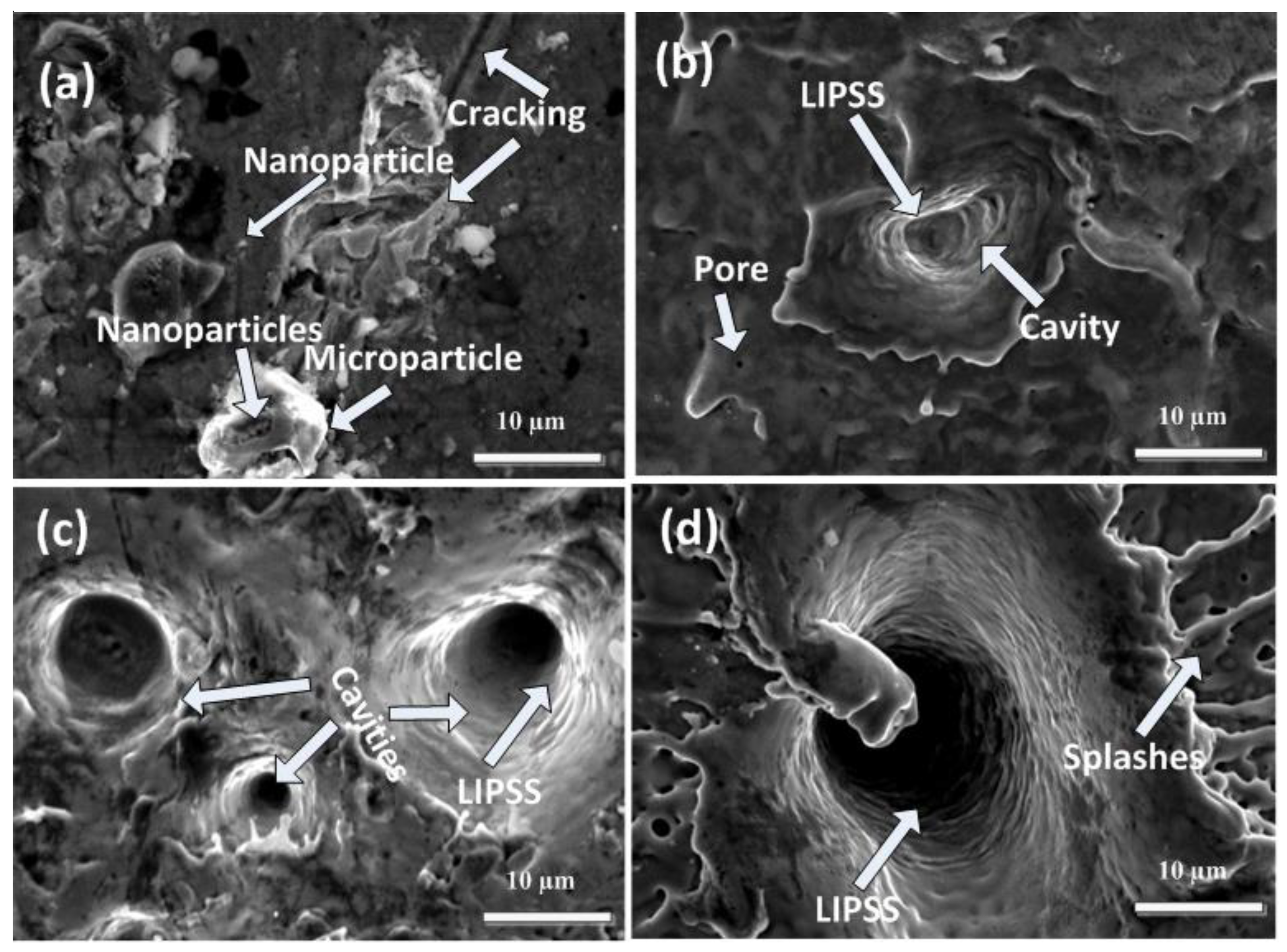 Coatings 12 01193 g004