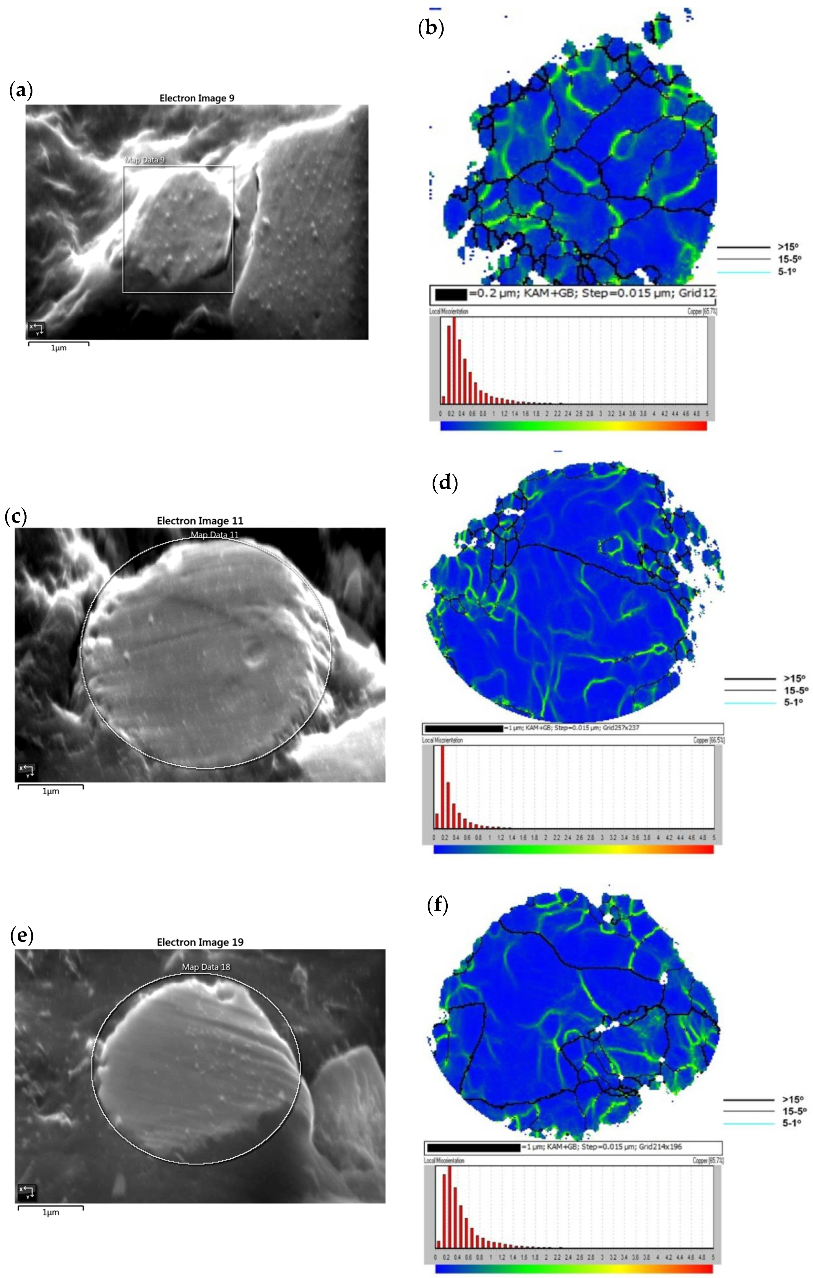 Coatings 12 01197 g002