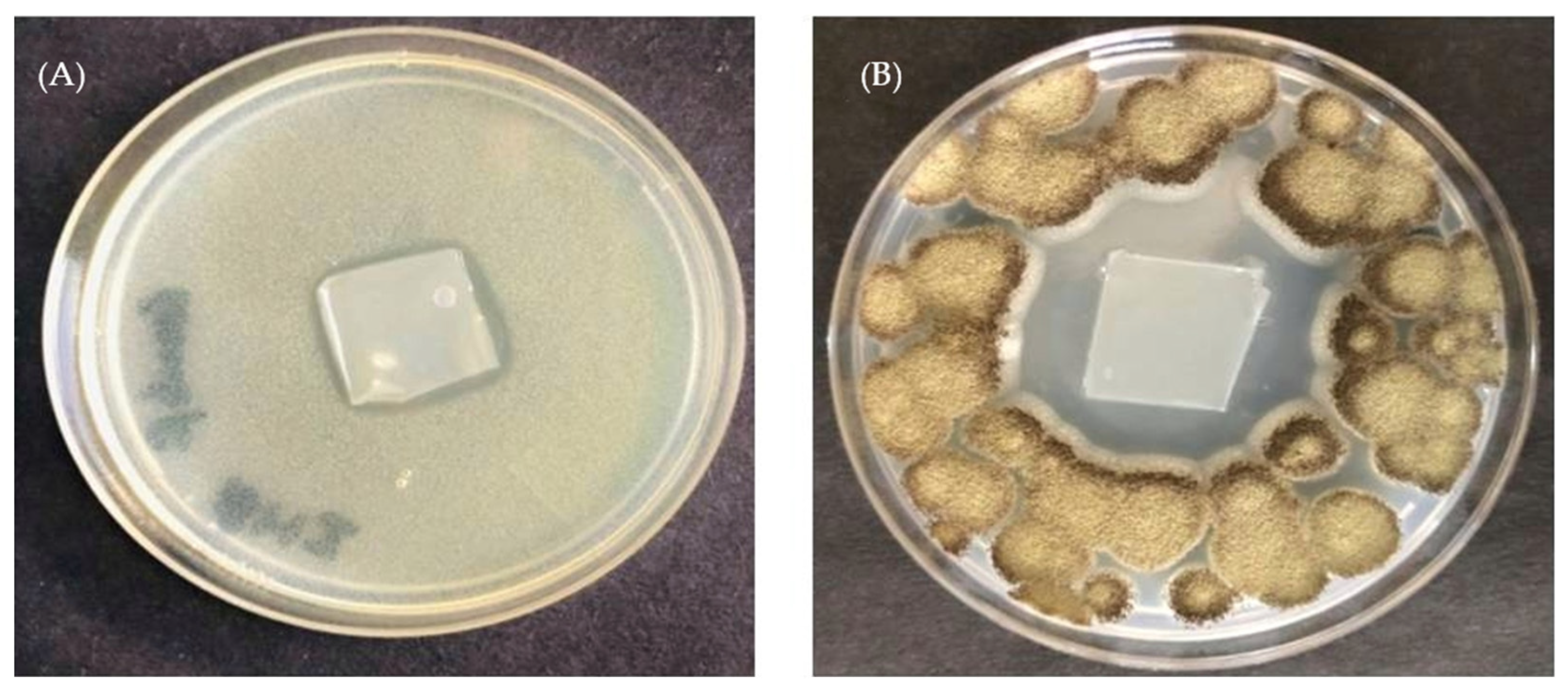 Coatings 12 01204 g004