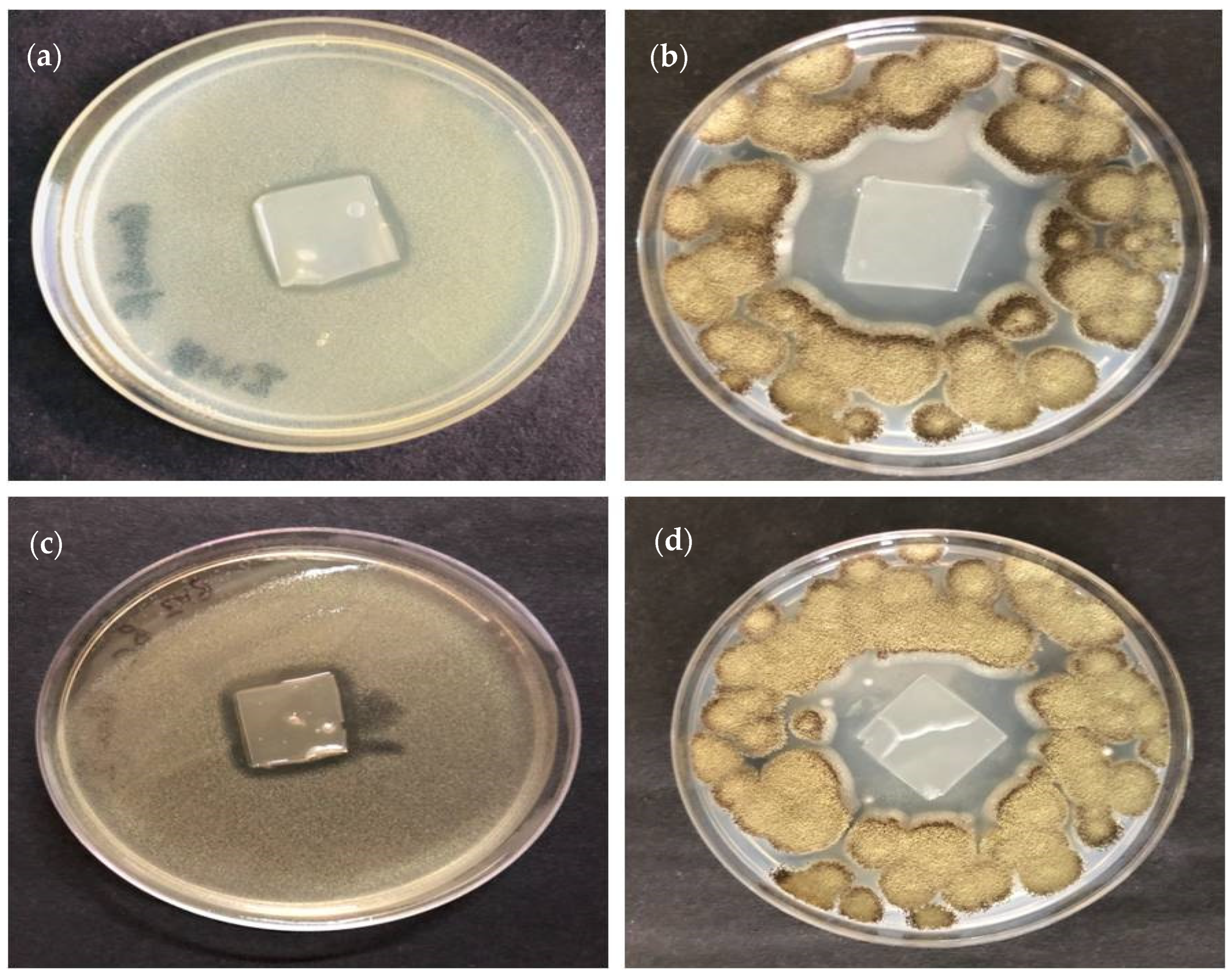 Coatings 12 01204 g005