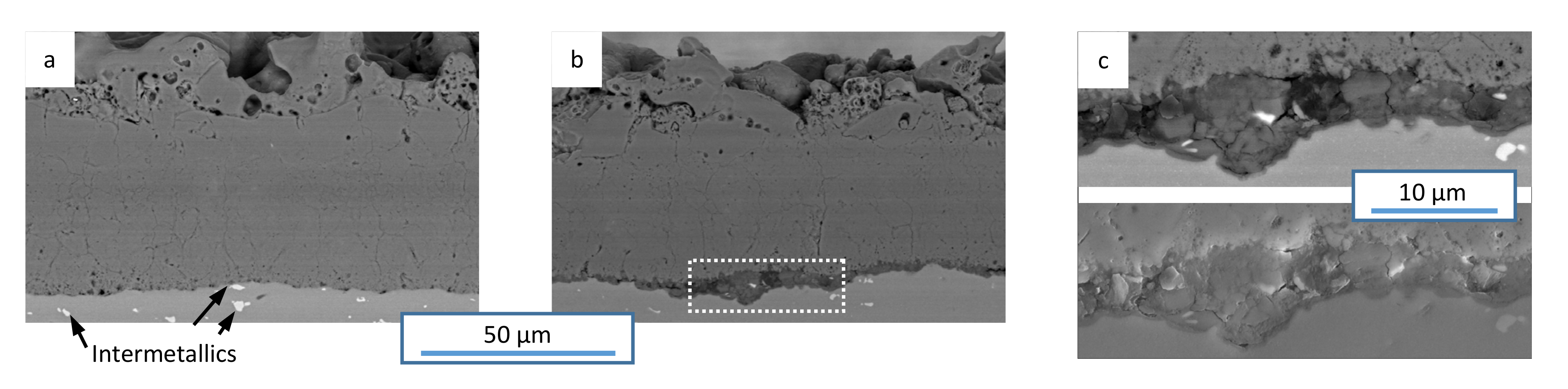 Coatings 12 01205 g005 550