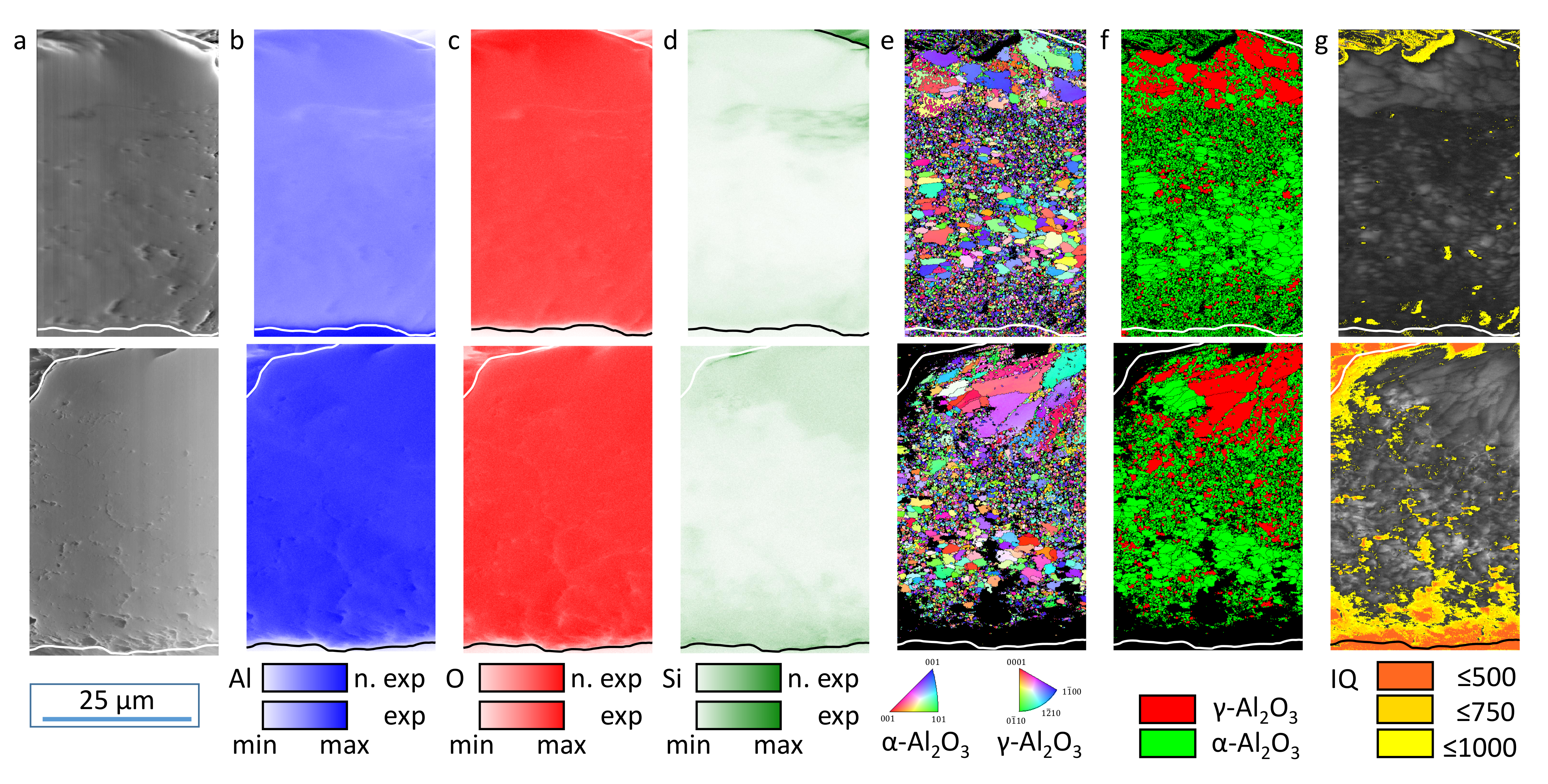 Coatings 12 01205 g012 550