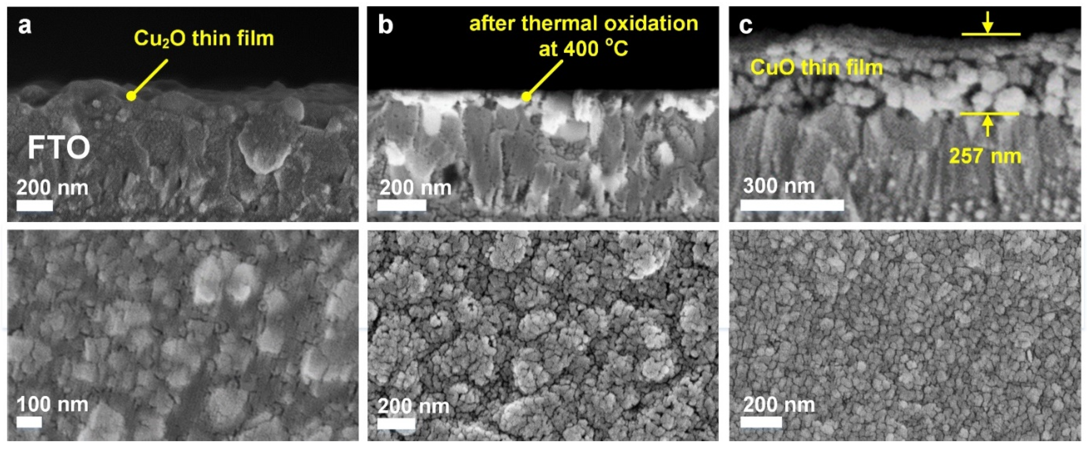 Coatings 12 01206 g004 550