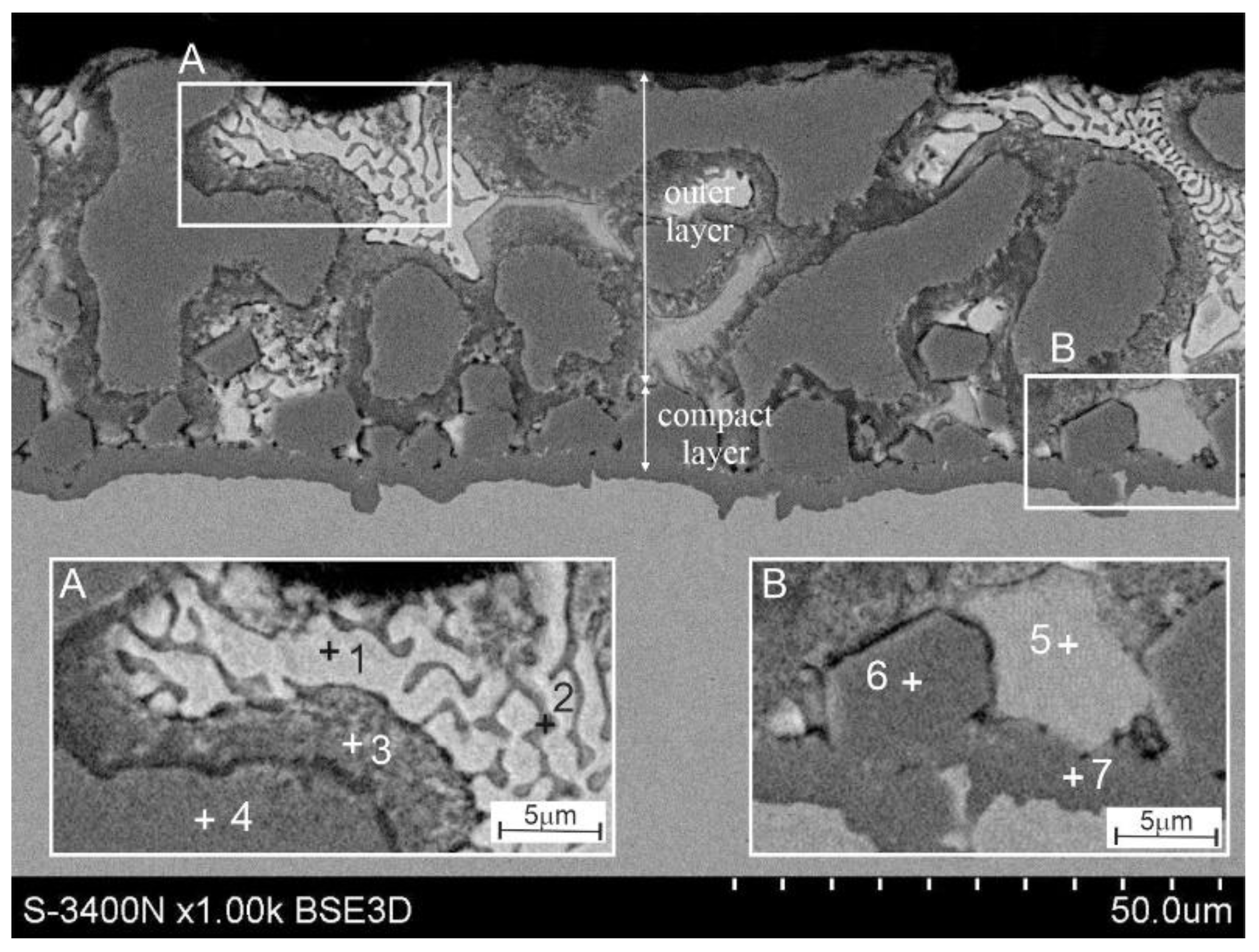 Coatings 12 01207 g003 550