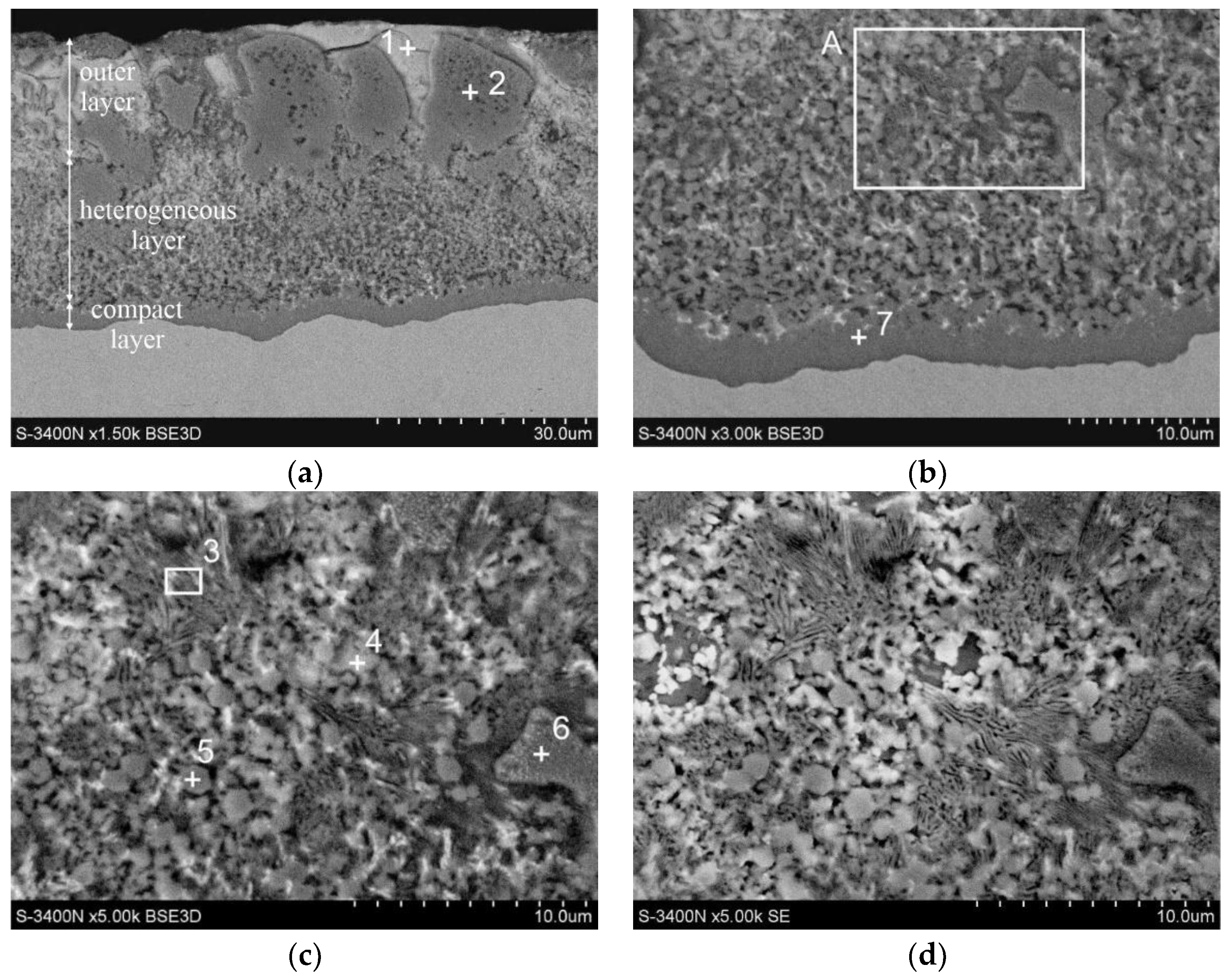 Coatings 12 01207 g004 550