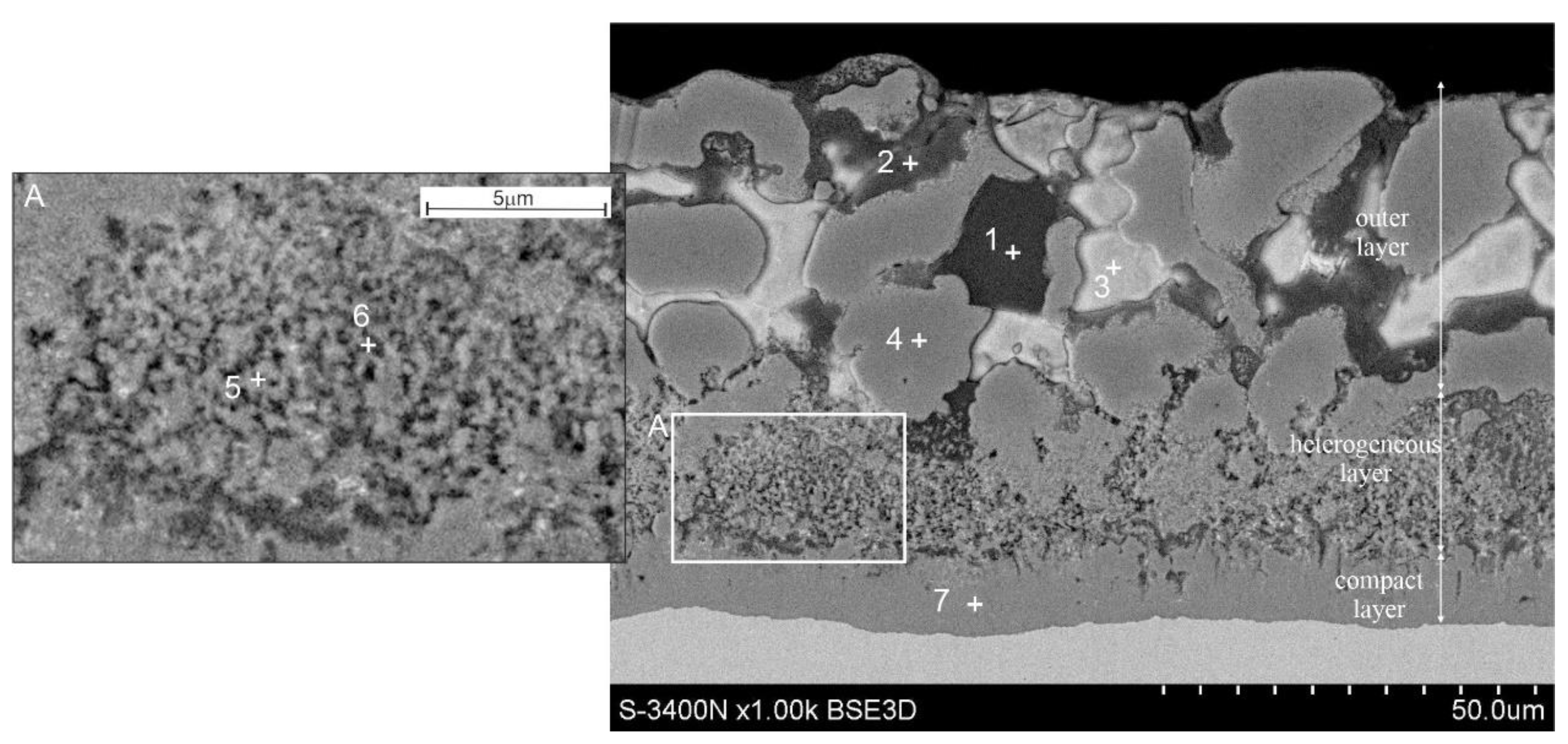 Coatings 12 01207 g005 550