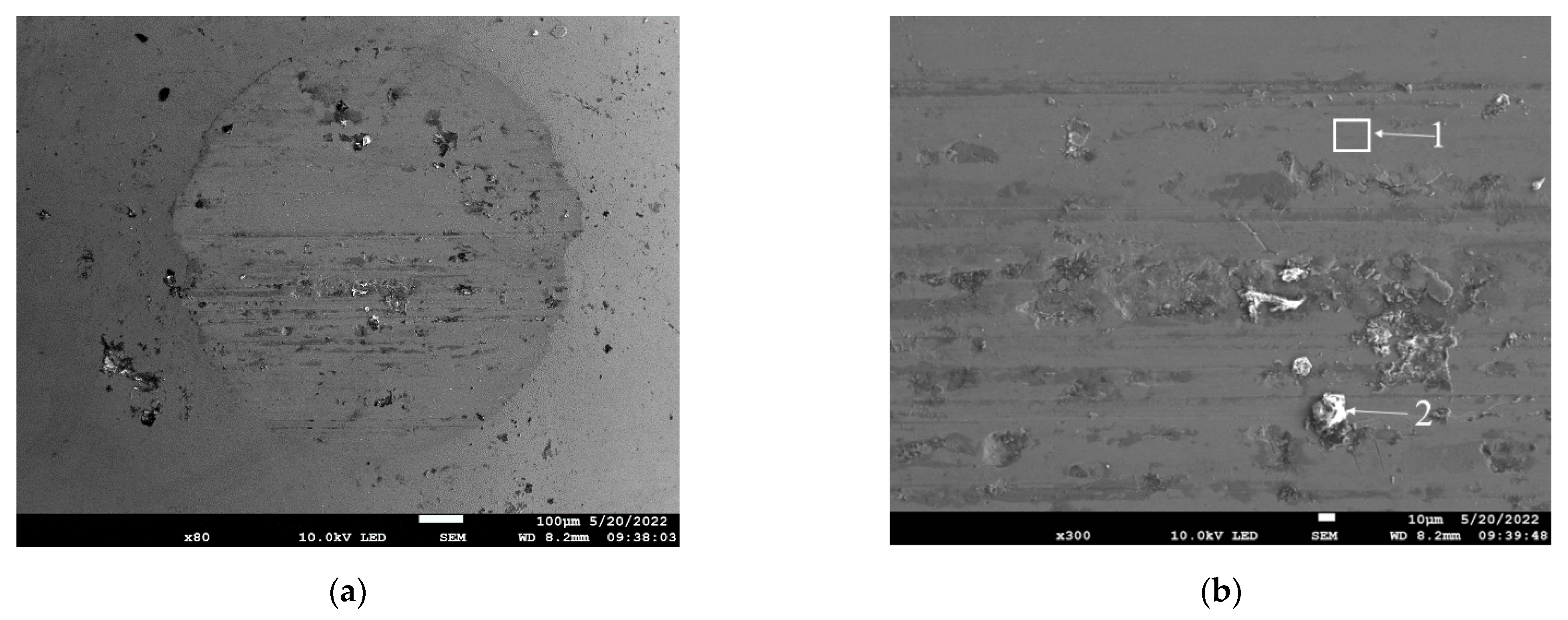 Coatings 12 01209 g009a