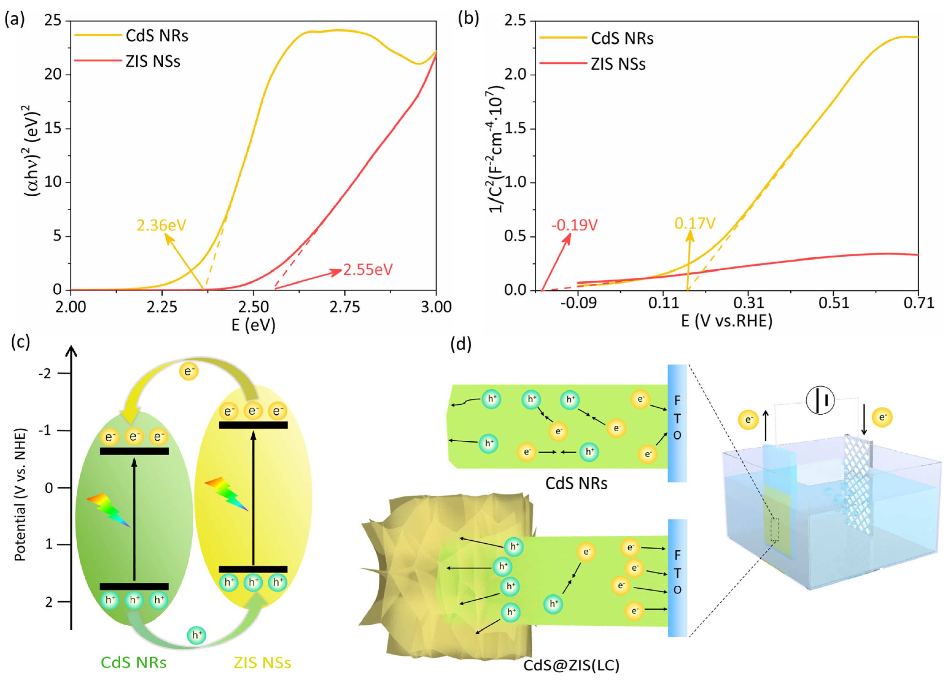 Coatings 12 01210 g006 550
