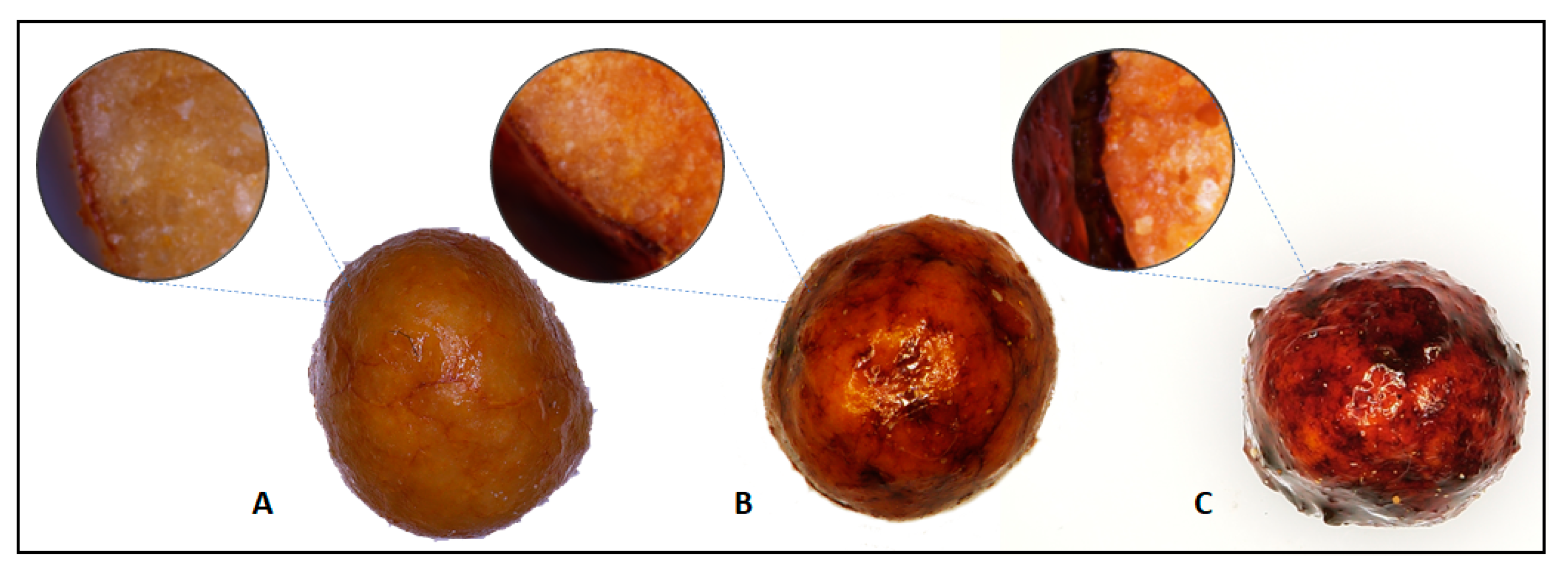 Coatings 12 01215 g004 550