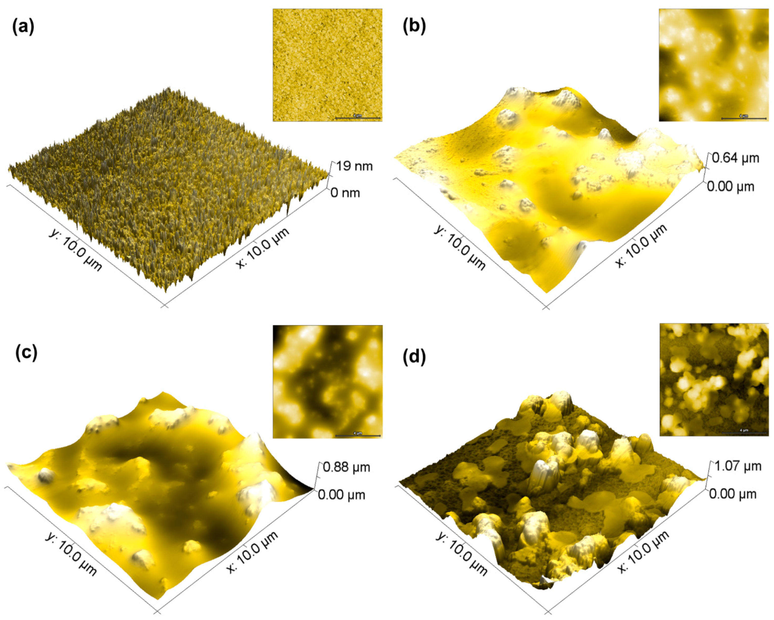 Vertical Growth Dynamics and Multifractality of the Surface