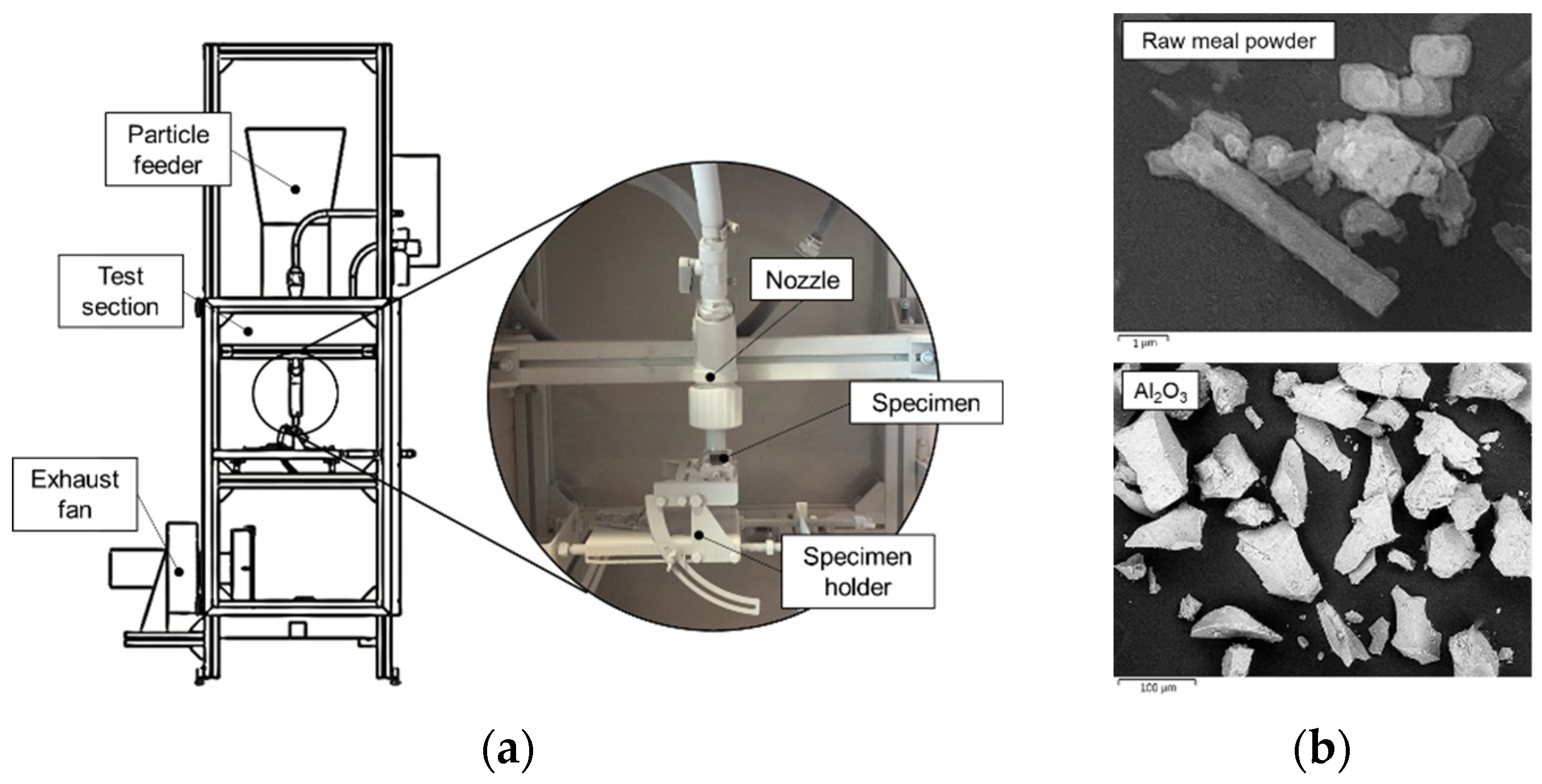 Coatings 12 01218 g001 550