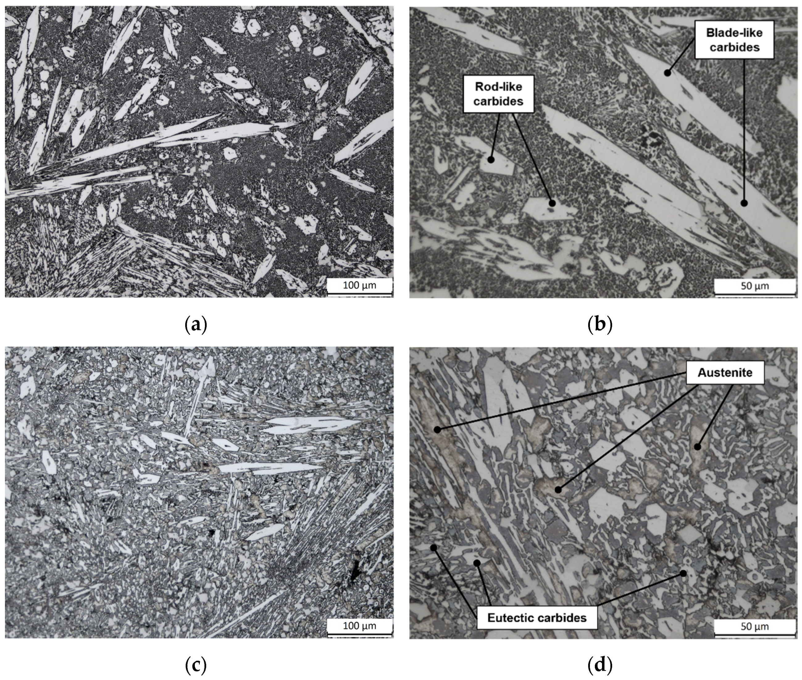 Coatings 12 01218 g002 550