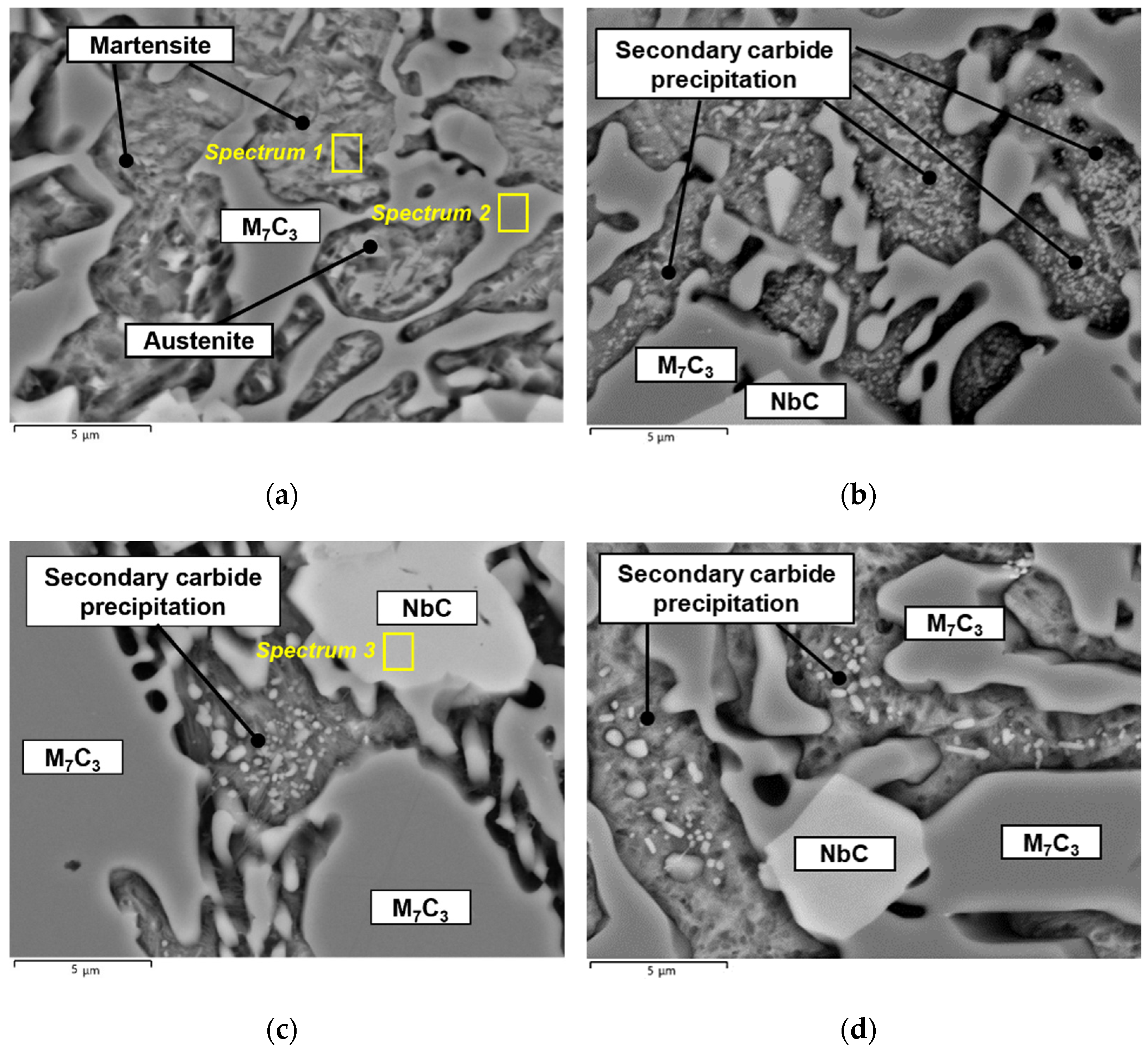 Coatings 12 01218 g004 550