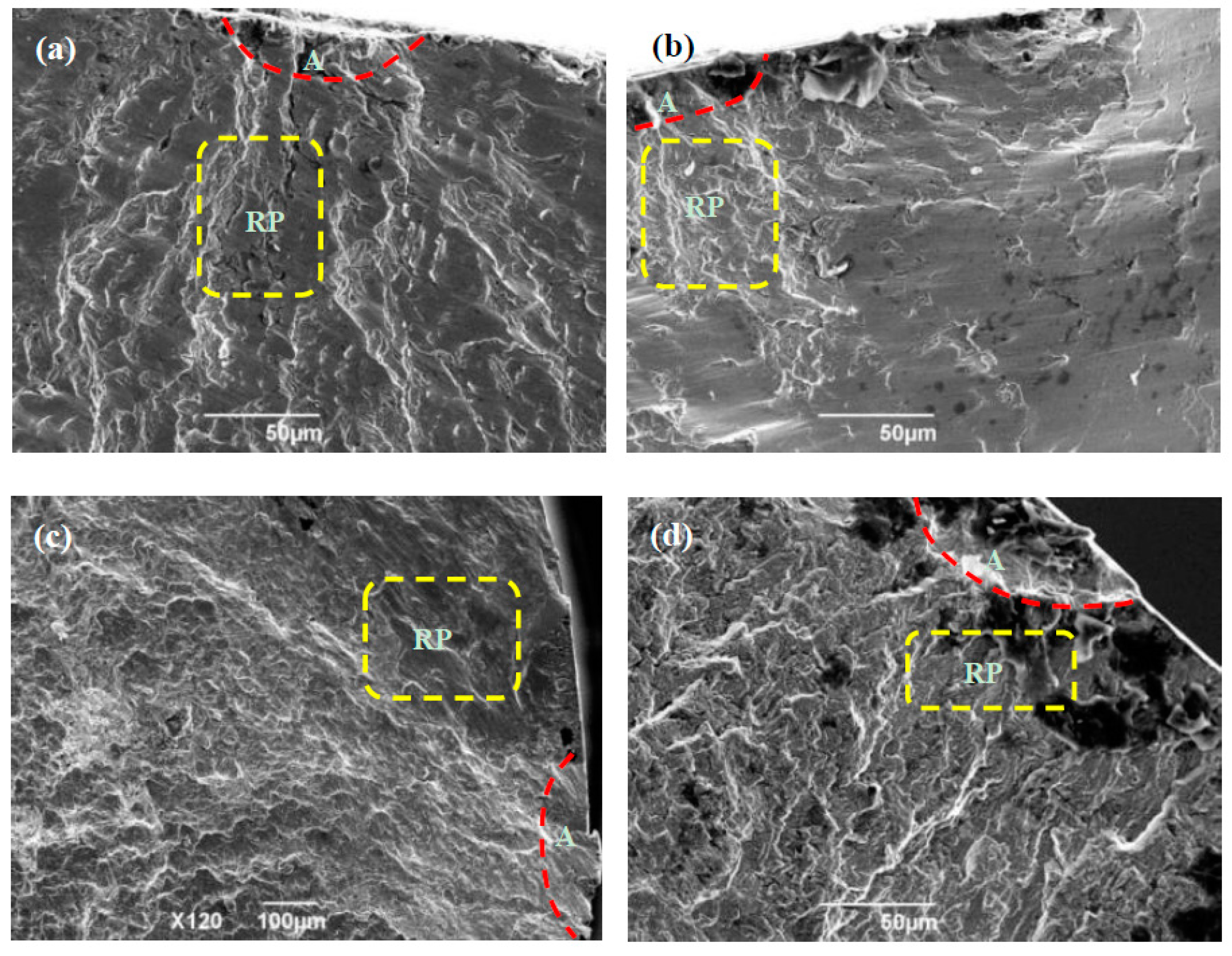 Coatings 12 01222 g007