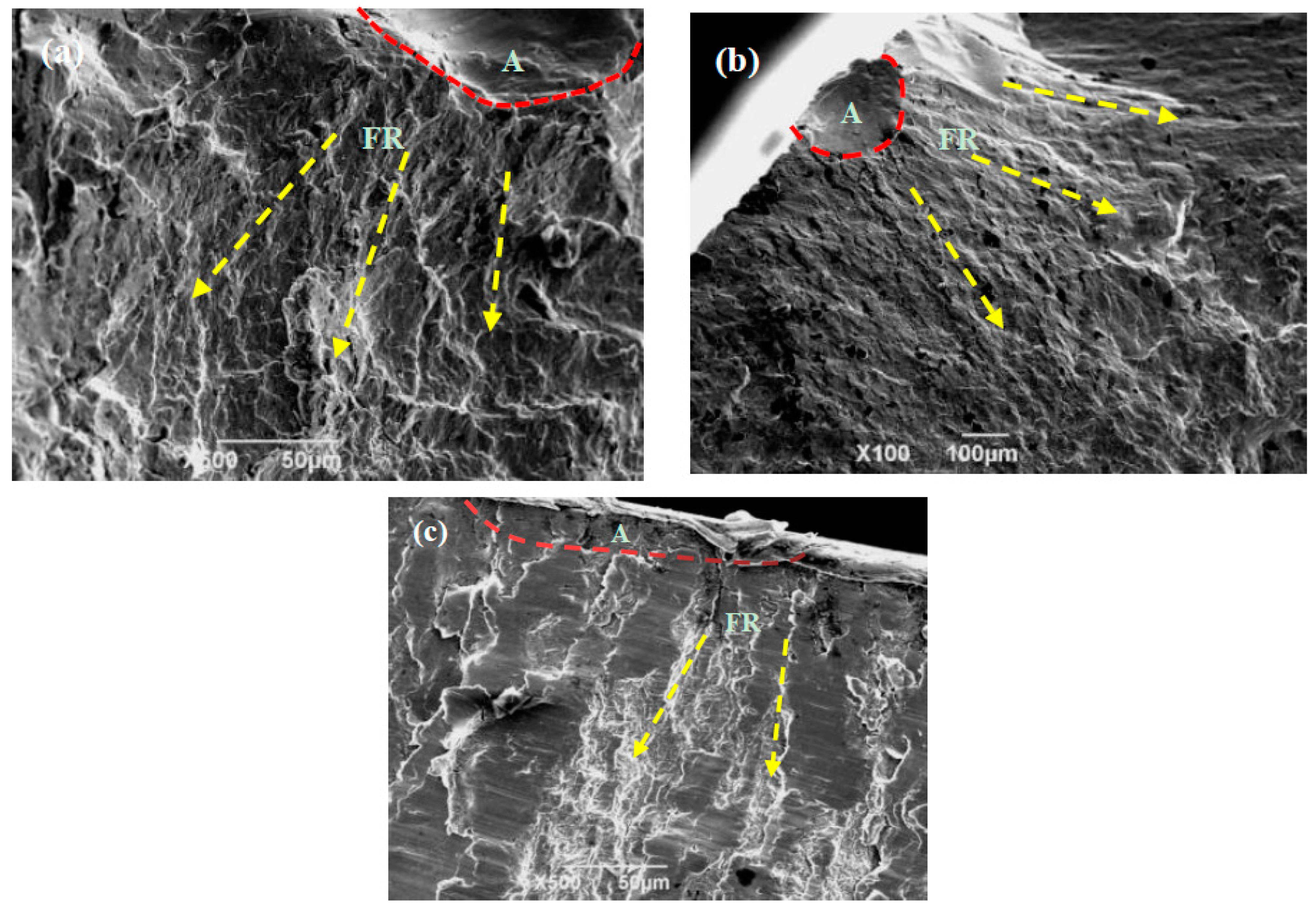 Coatings 12 01222 g011